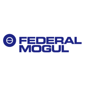 federalMogul.png