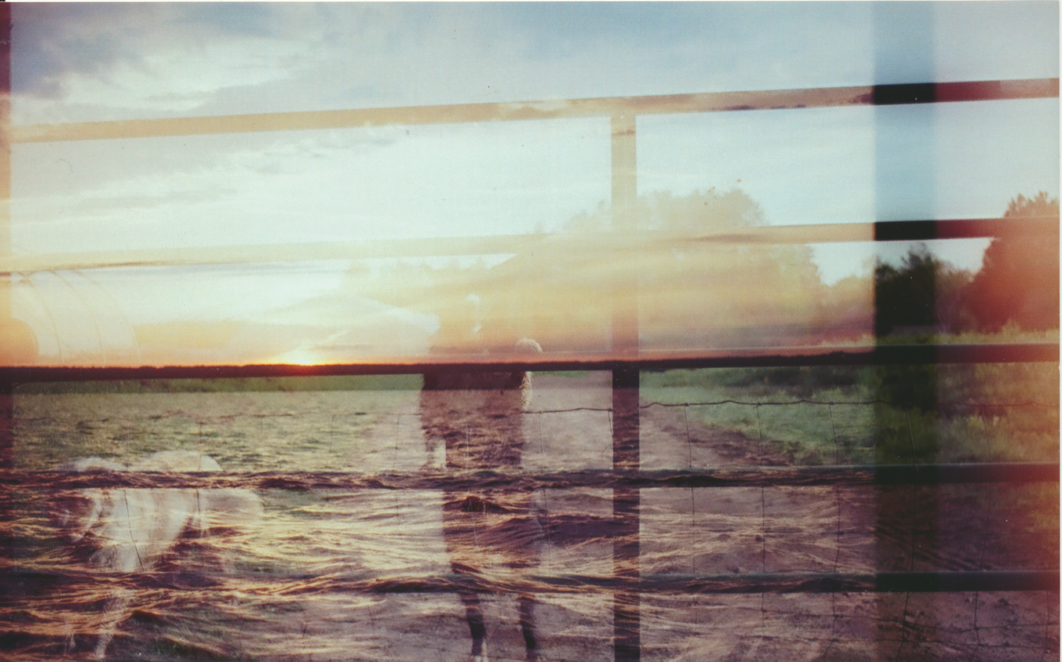 Double Exposure from a film exchange with Mae Lynn .