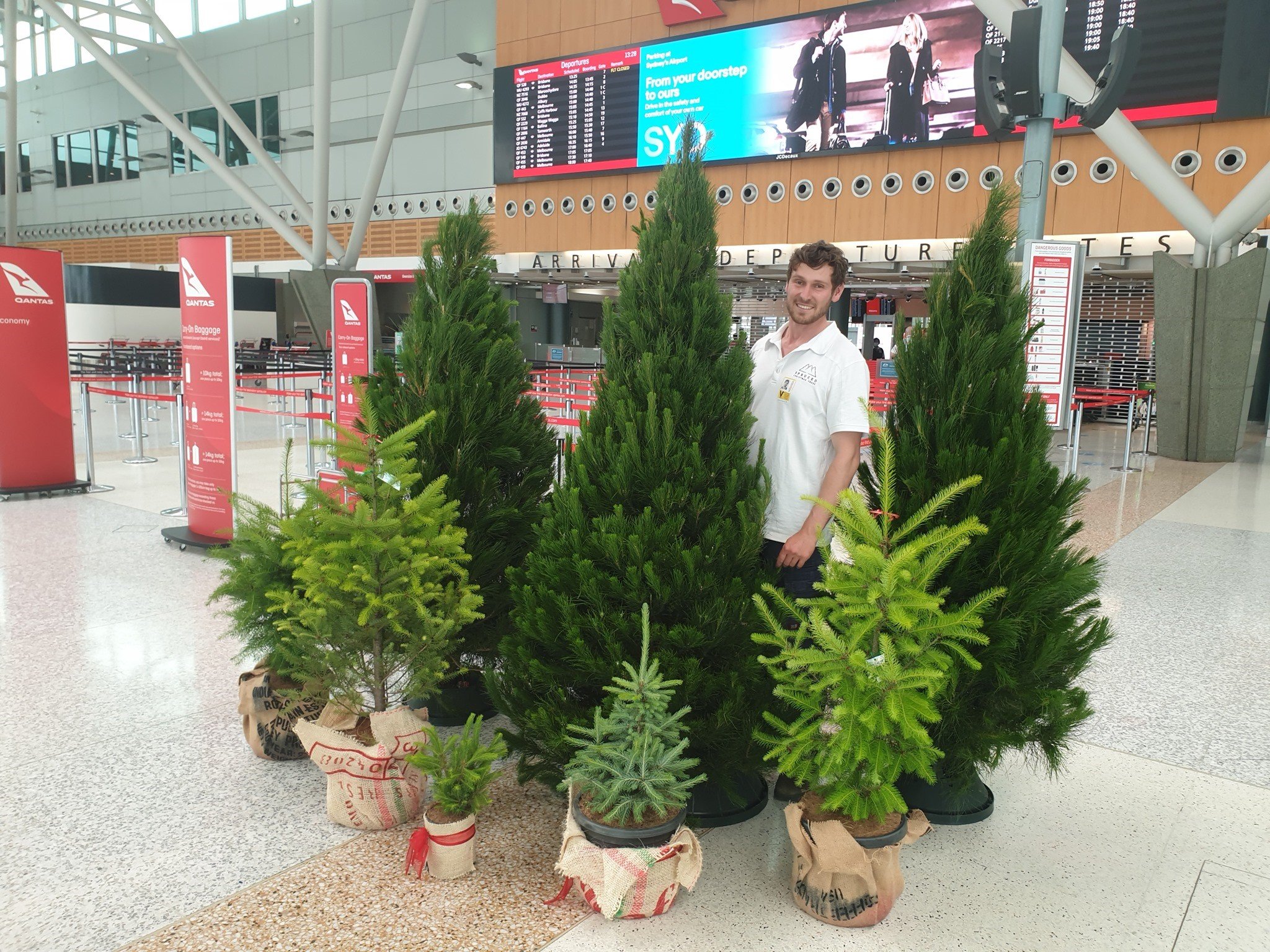 SYD airport Christmas Tree Display 2020 2.jpg