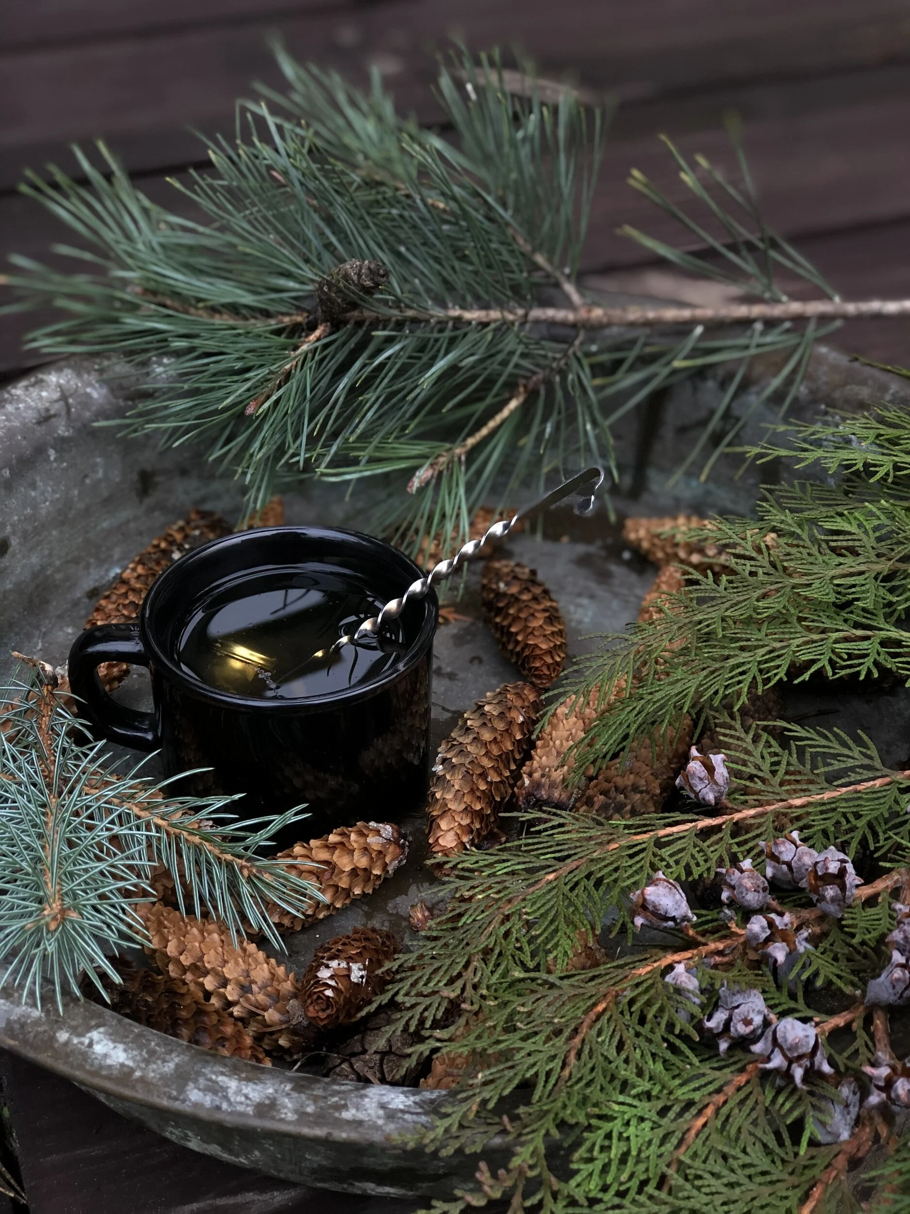 White spruce (P. glauca)