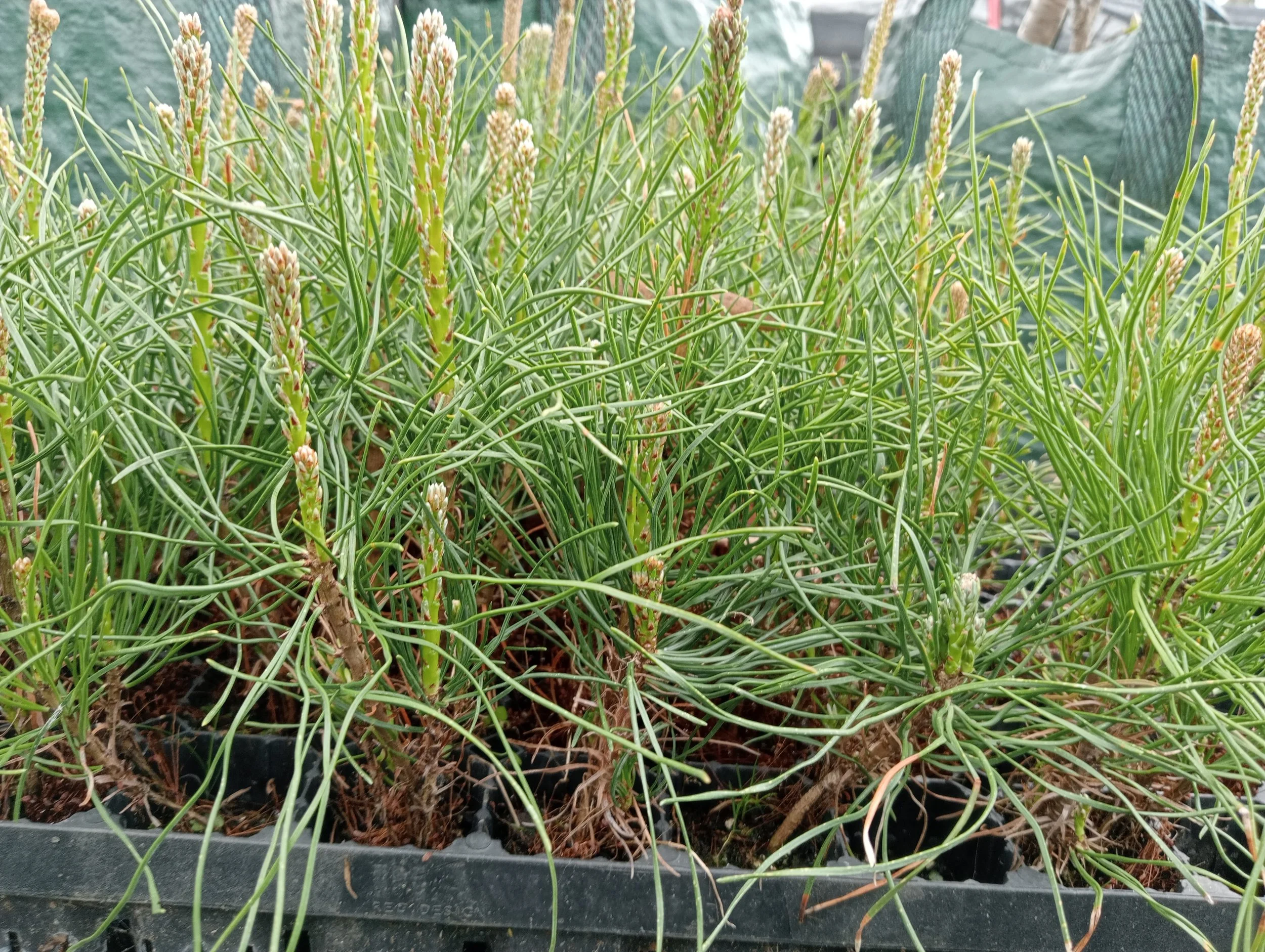 IMG20231006111114 (1).jpg