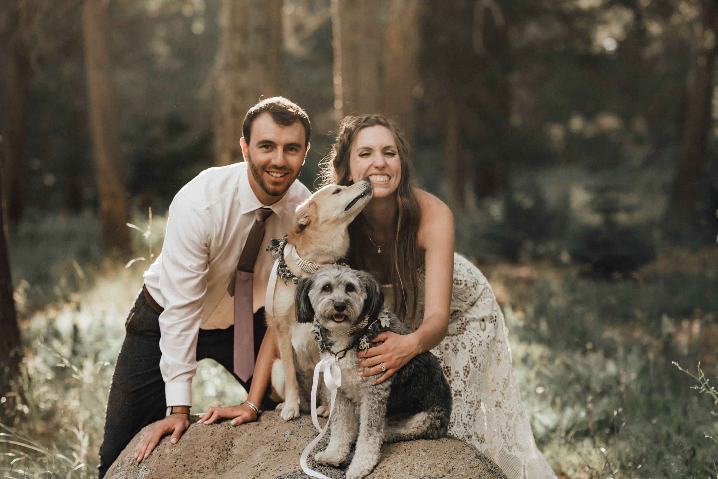 may-wedding-dancing-pines-sierraville-wedding-ca-danielle-kyle-junebug-photography-lake-tahoe-1-1885.jpg