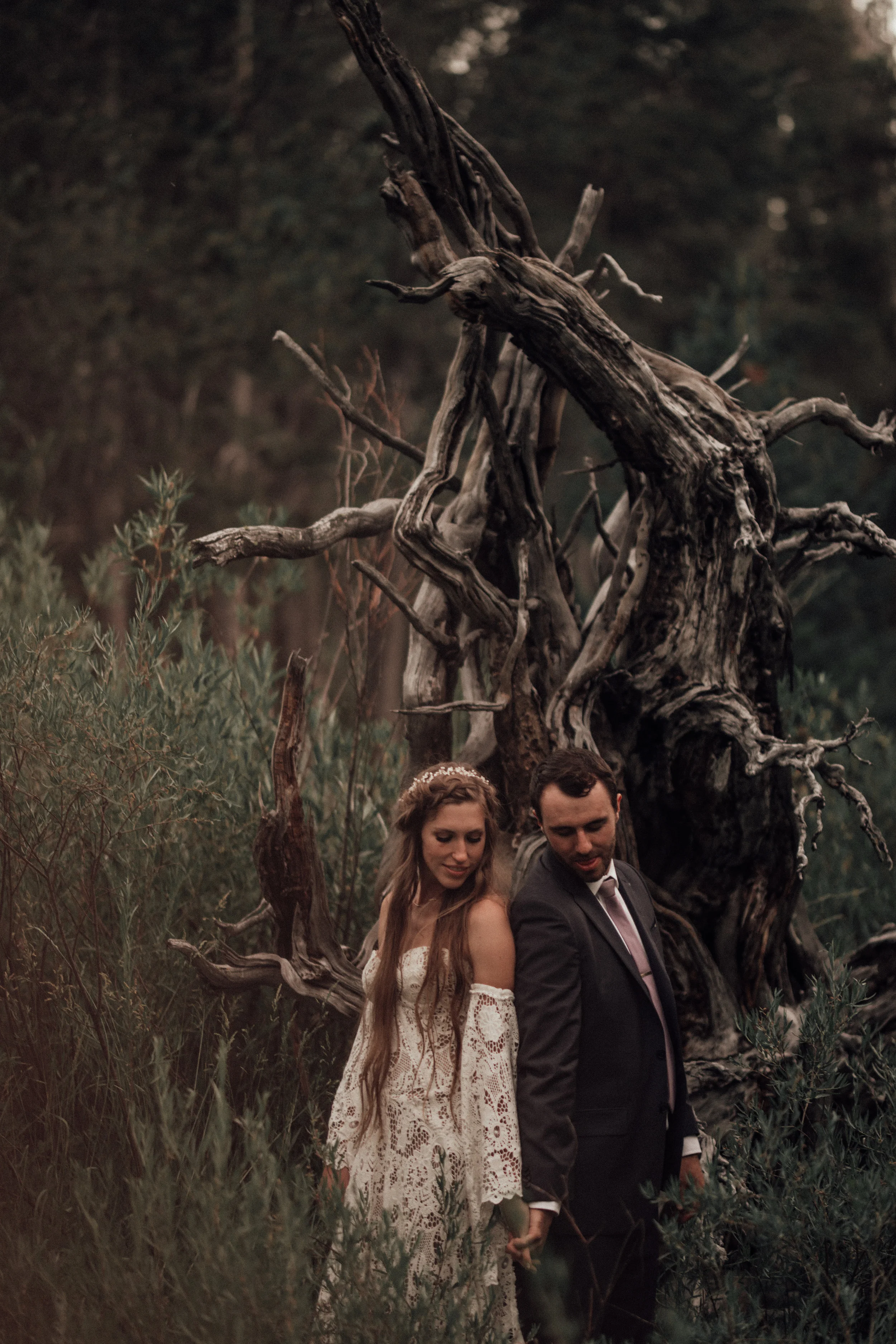 may-wedding-dancing-pines-sierraville-wedding-ca-danielle-kyle-junebug-photography-lake-tahoe-1-2566.jpg