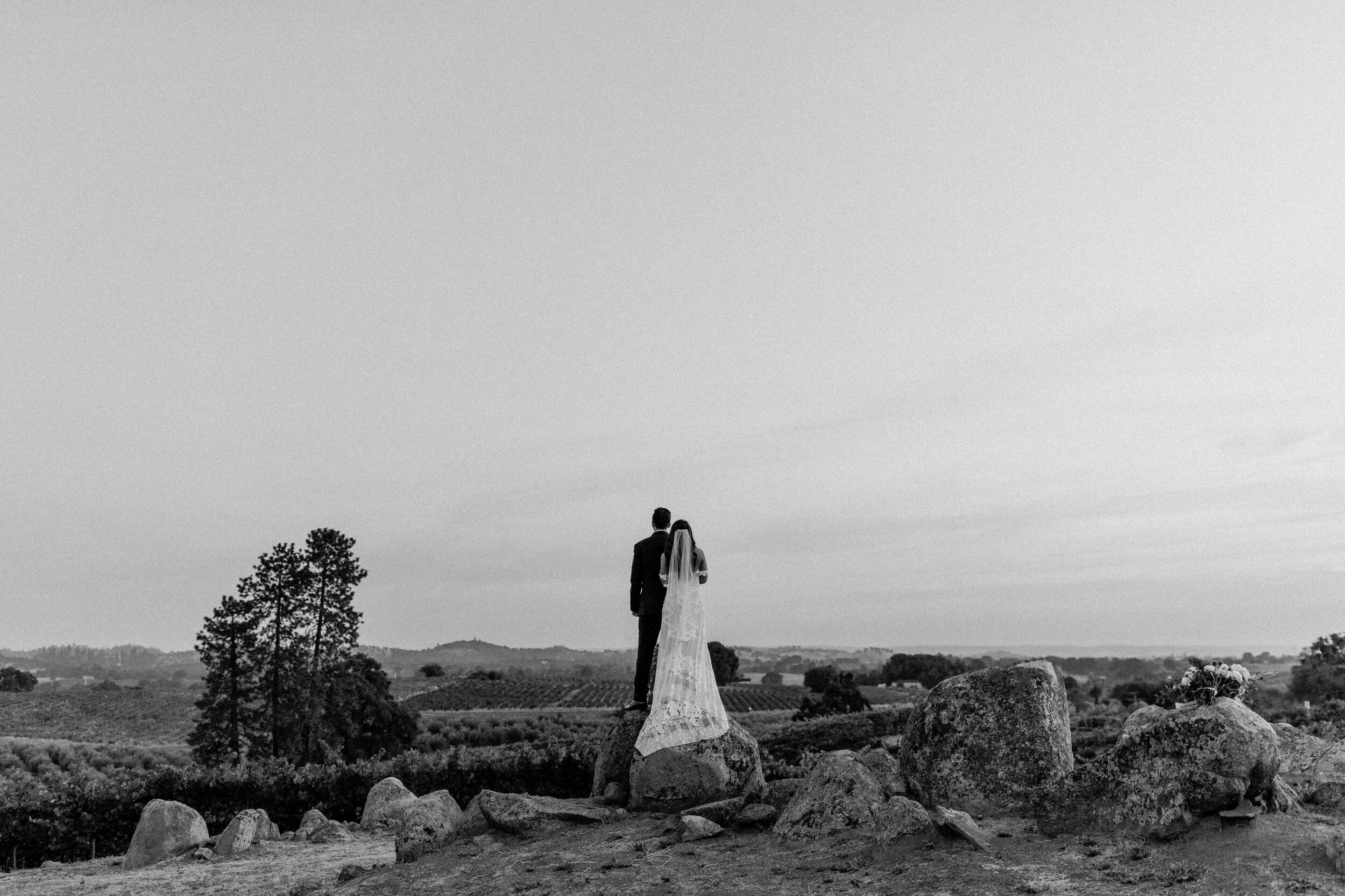 Boho california vineyard wedding  Gown: Rue De Seine via Swoon Bridal Reno NV | Veil: Sara Gabriel | Earrings: A.B. Ellie | Photographer: Taylor Kern | Venue: Helwig Winery | Florals: Esmae Floral