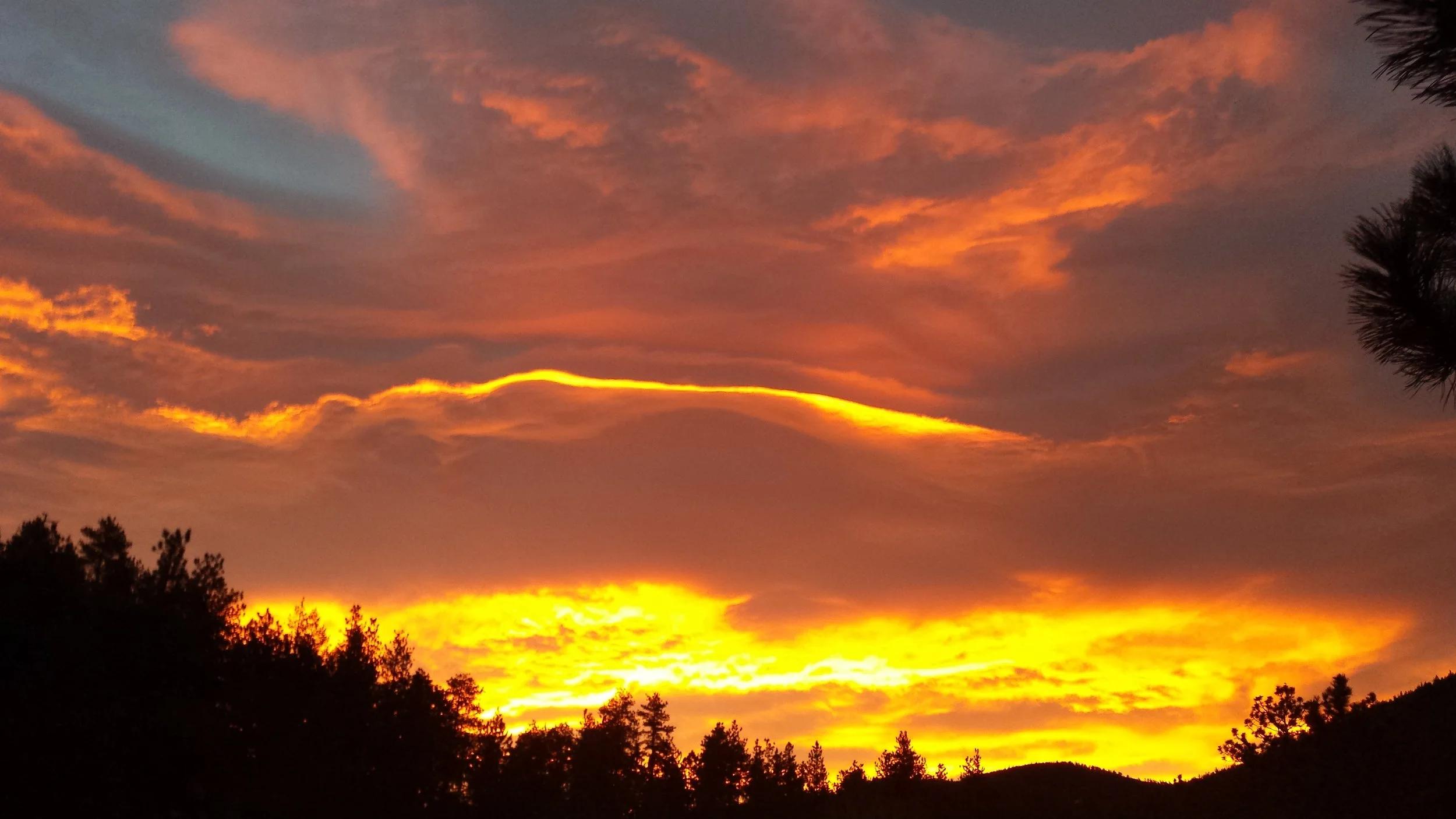 20150110_071214.jpg