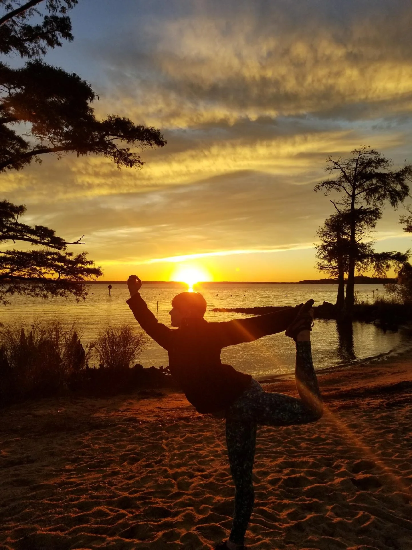 Aerial and Yoga, the Perfect Partnership