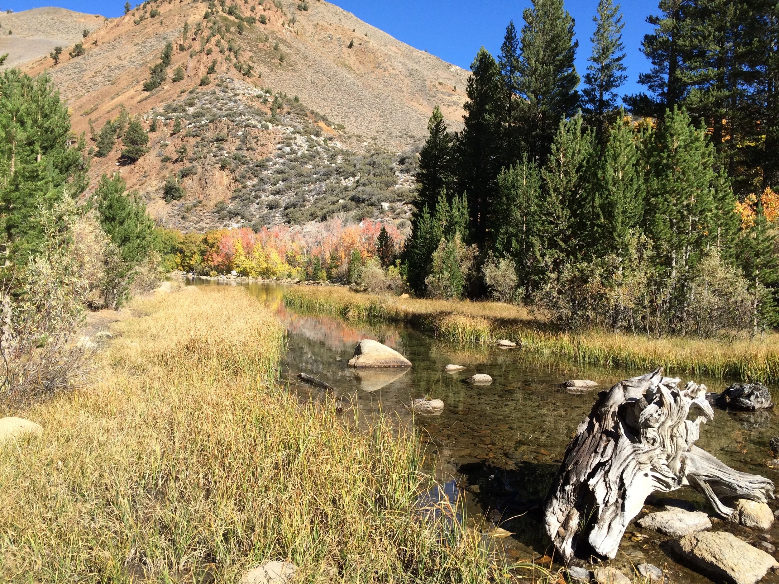 Bishop Creek
