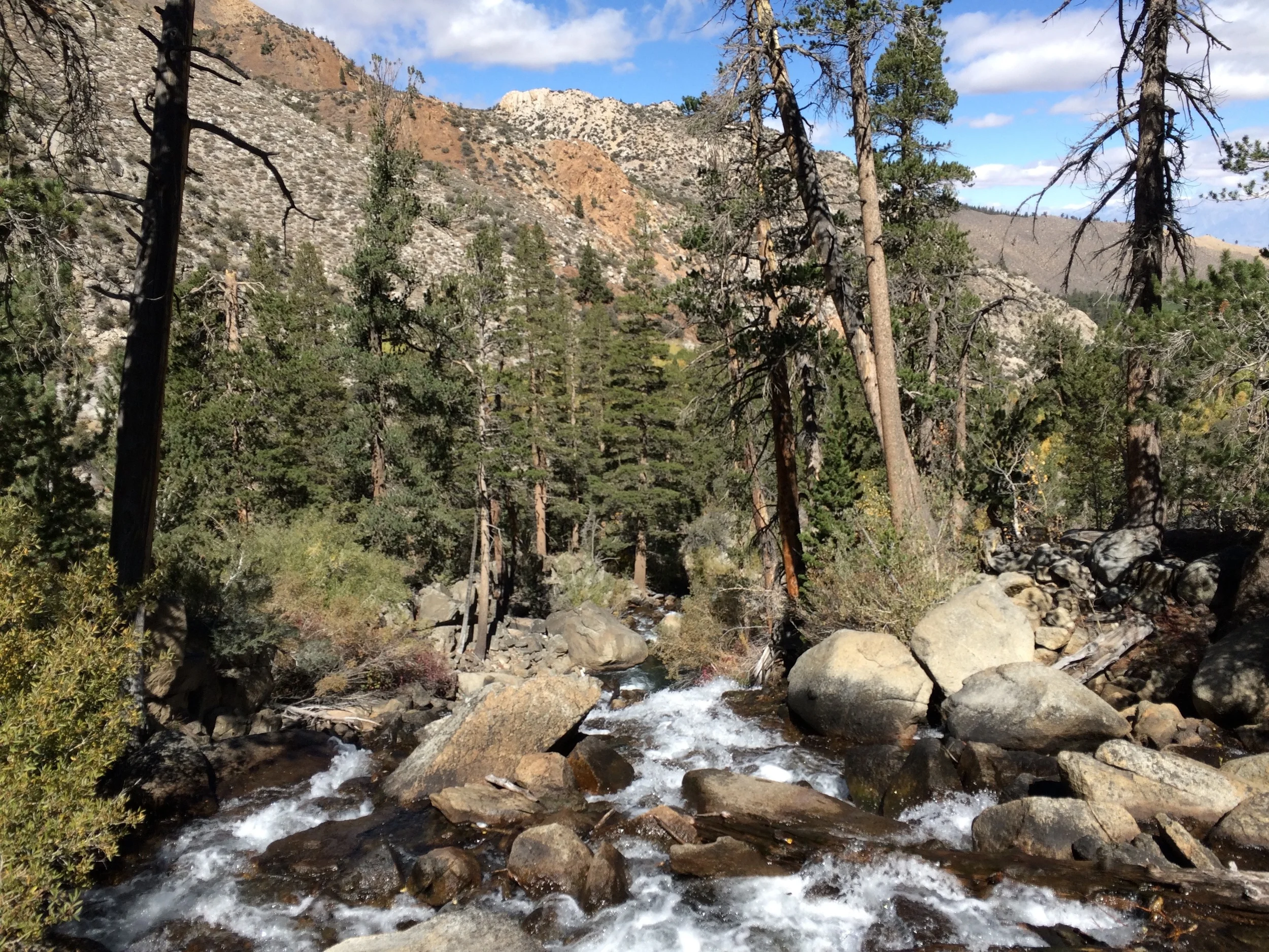 Bishop Creek