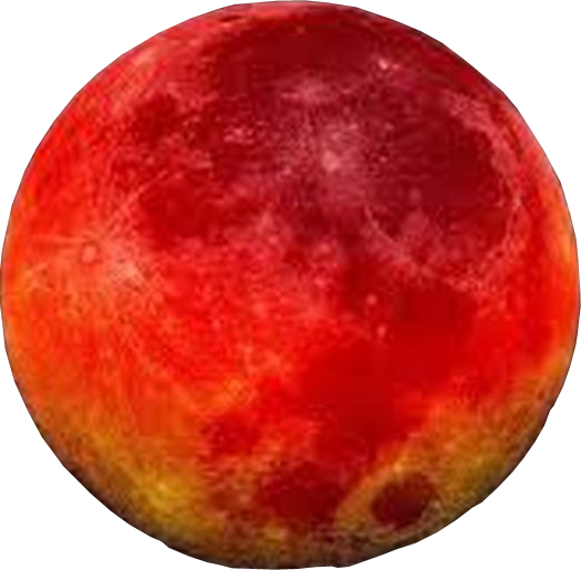 Where Mars is traveling will give us a clue to the texture of our will. The actions, energy levels and way in which we move through our day. 