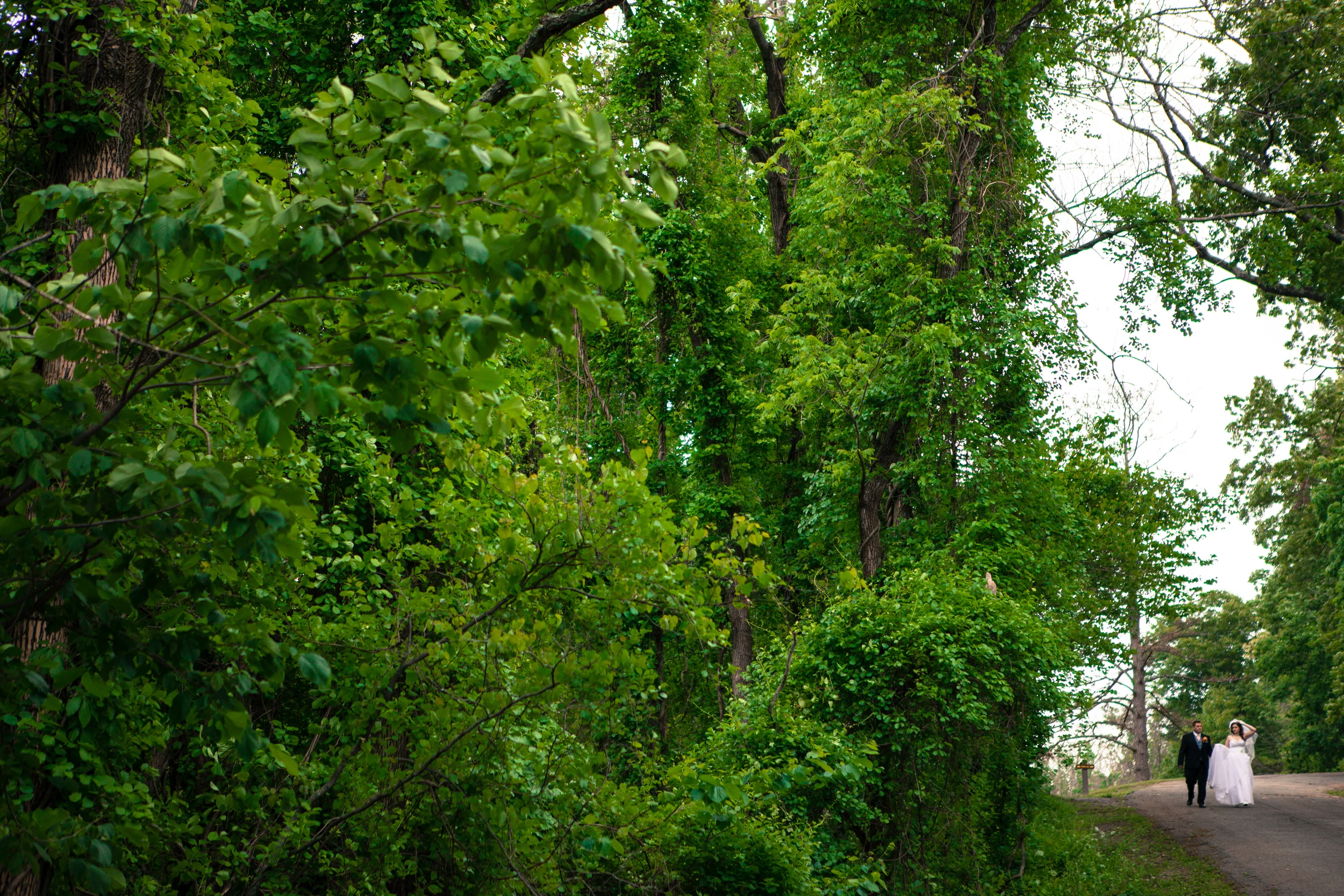 Andrew+Julie (330 of 679).jpg