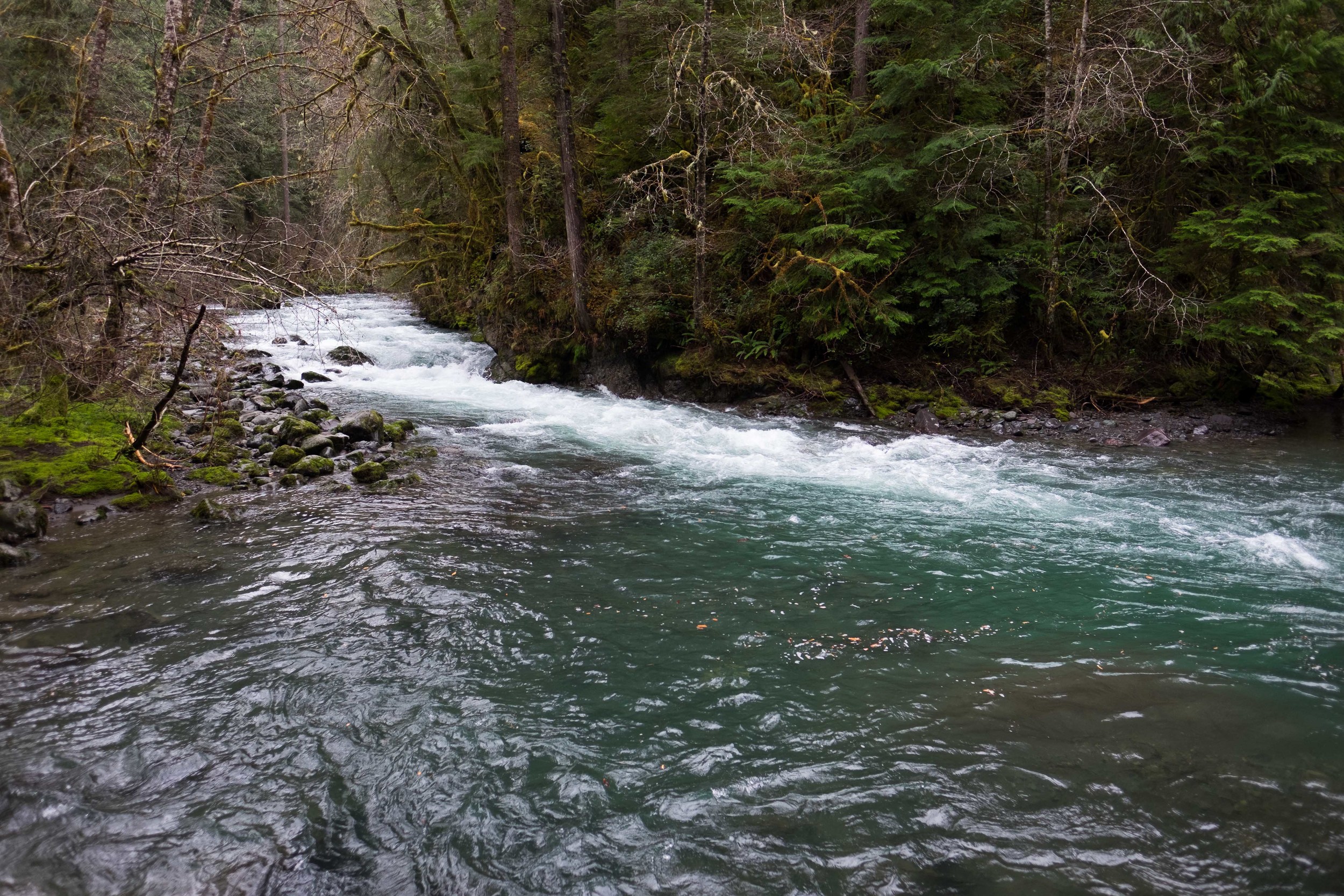  The Big Quilcene River, seen from the Fallsview Canyon loop. 