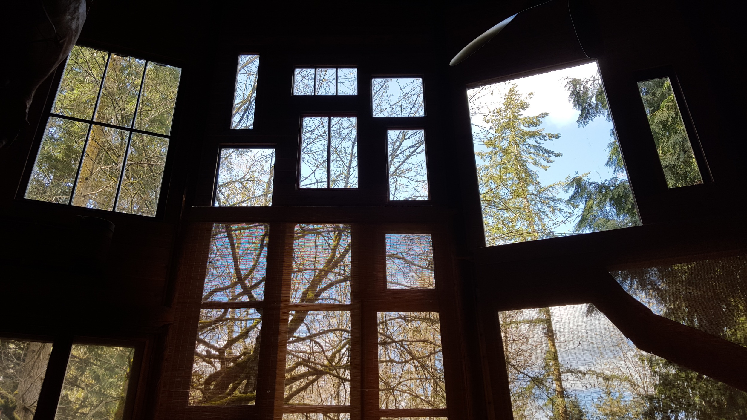  The large windows of the circular log cabin let in tons of light to its open floor plan. 