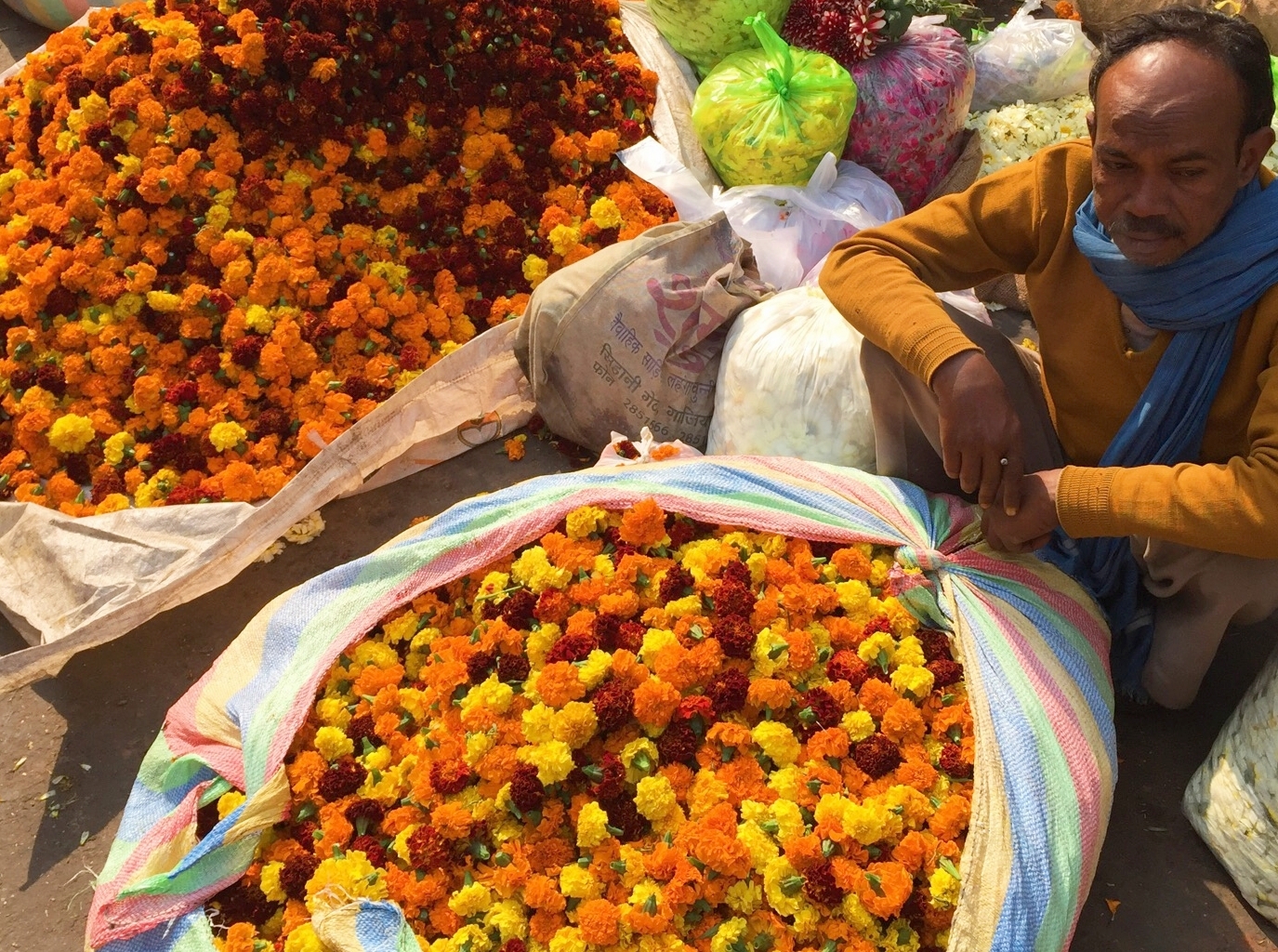 Delhi Chandni Chowk