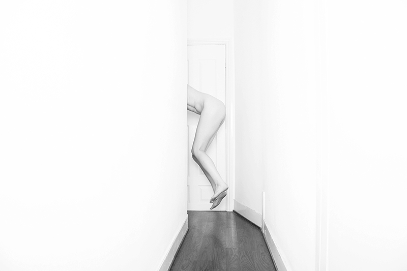 7th February 2014 , from the series Covering The Carpet