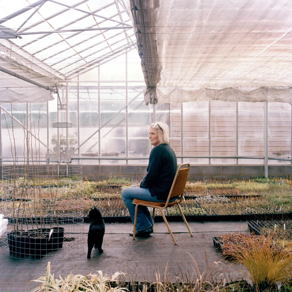From the series Volunteer