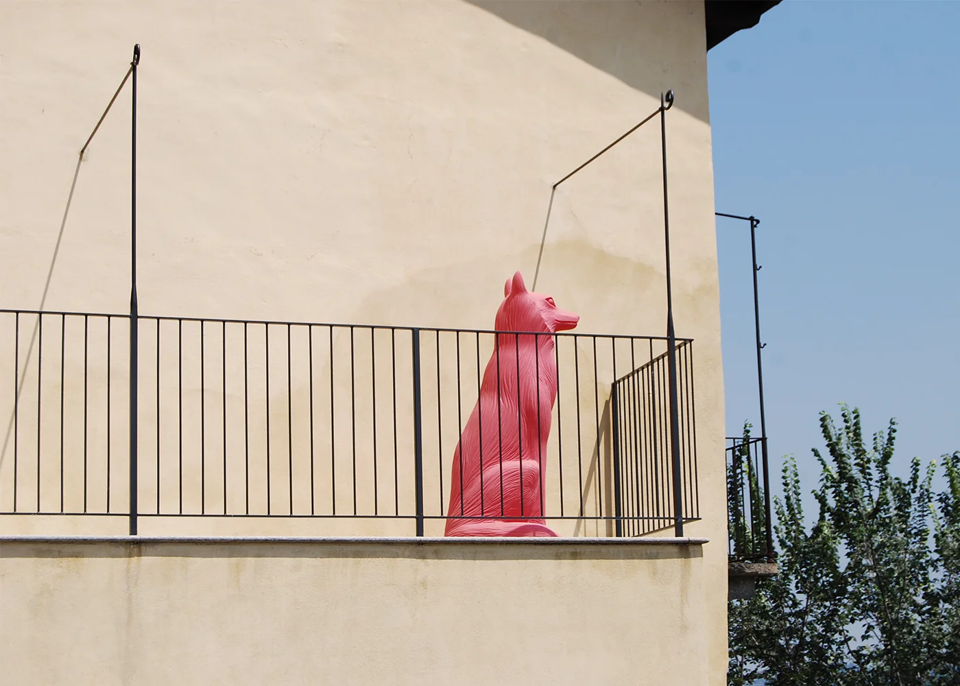 From the series Rosé 