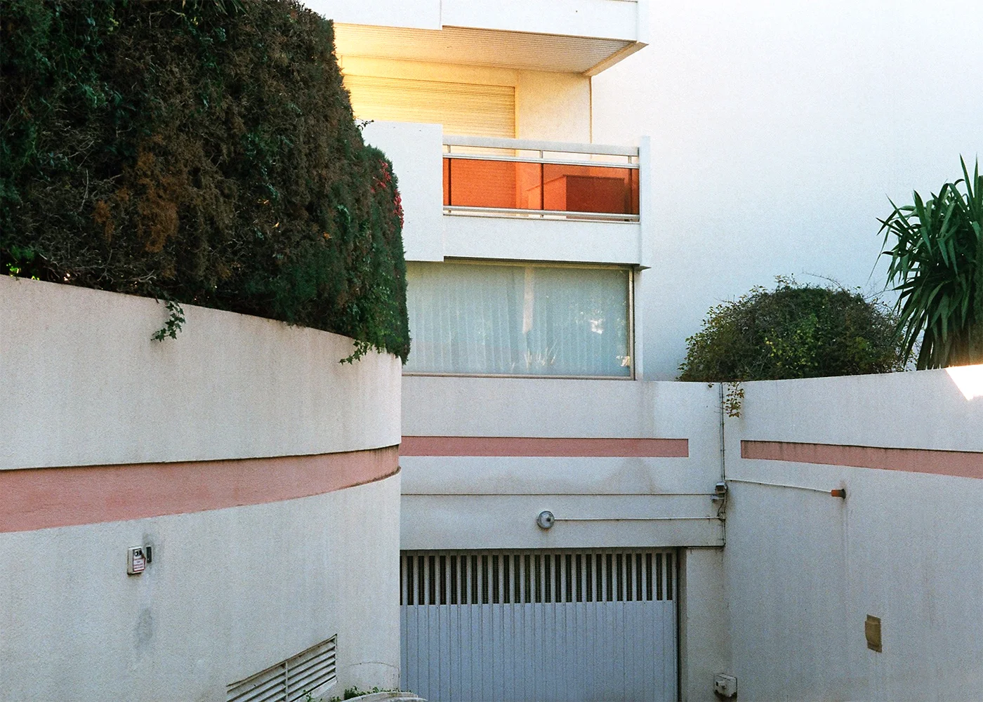 From the series Rosé 