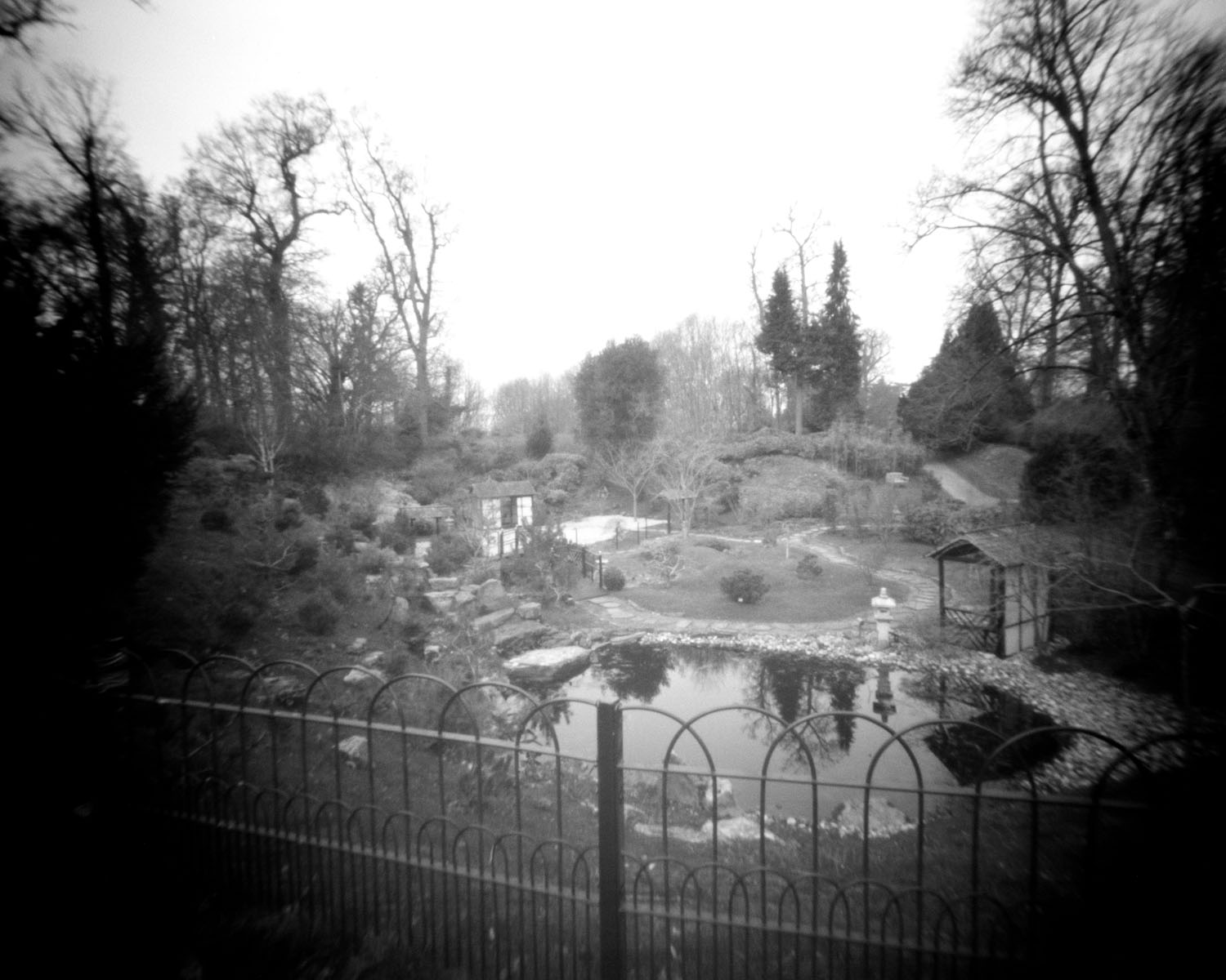 From the series Kingston Lacy Estate