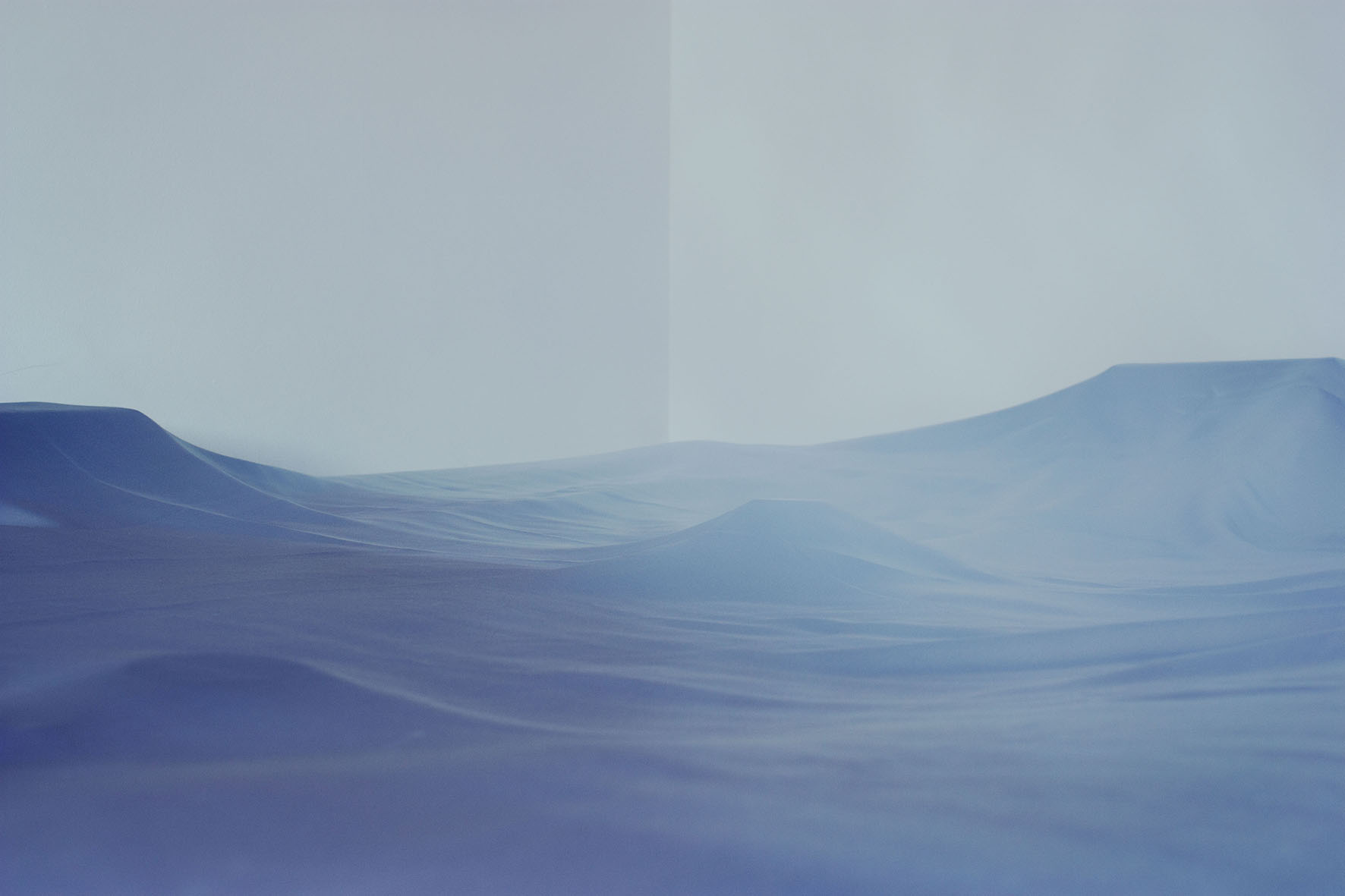 From the series Seneology