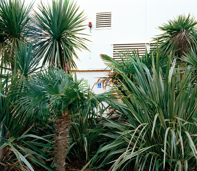 From the series Nineteen Thousand Beds