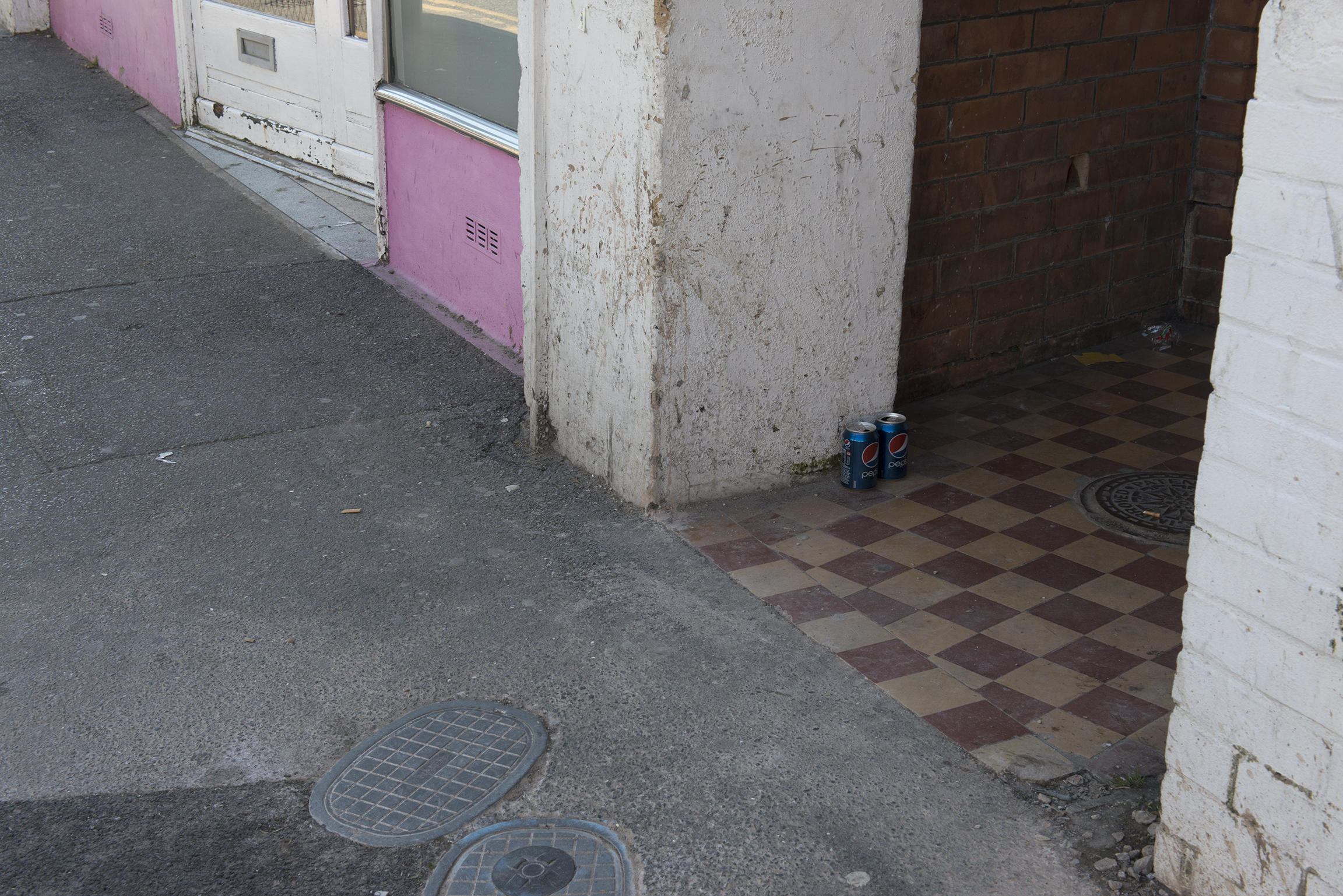 From the series Two Foxes
