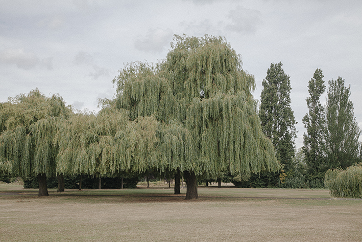 From the series To & from the North Circular