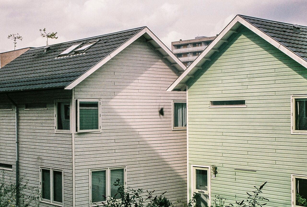 From the series Spider Island