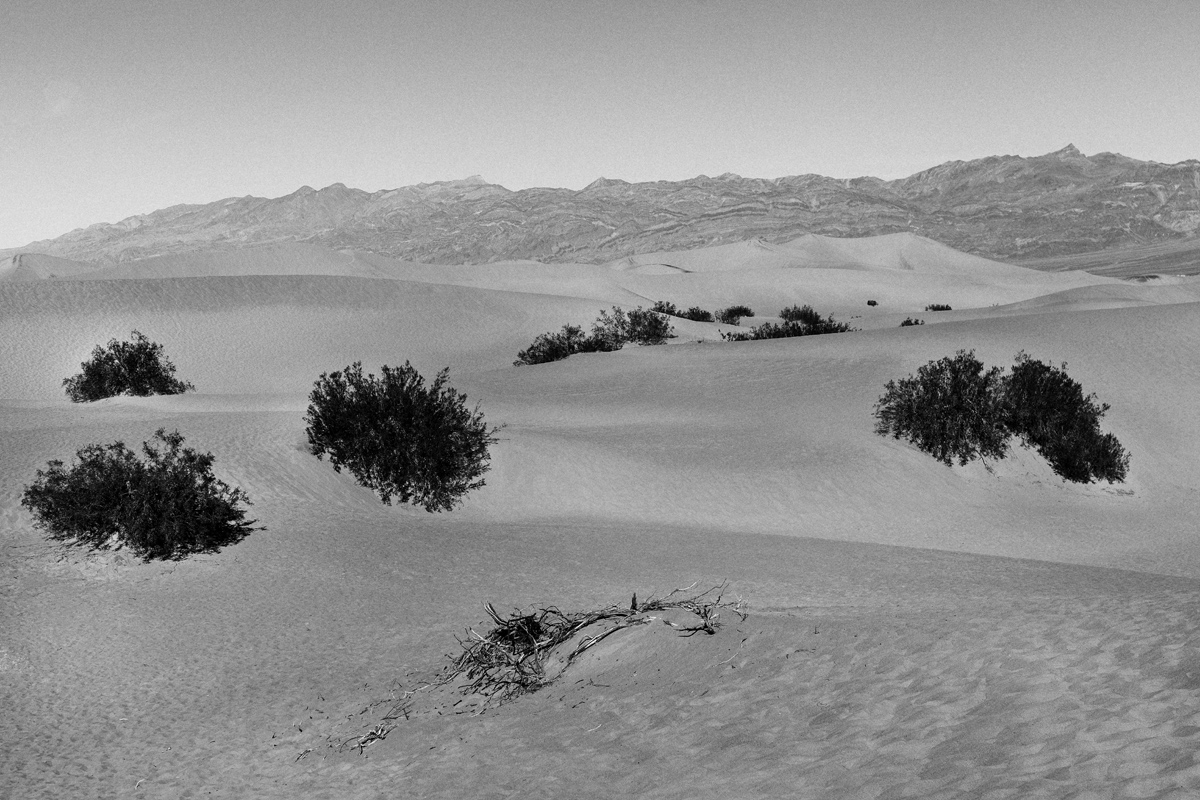 Images from the series The Land of Plenty