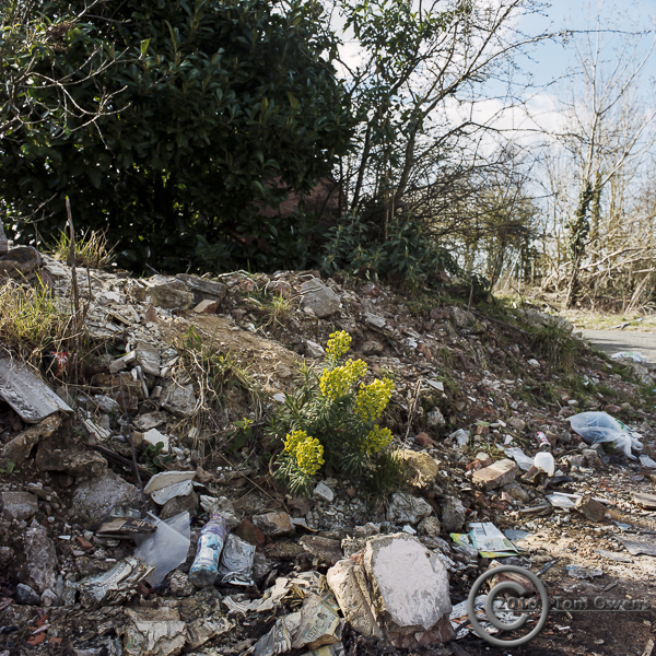 From the series Edgelands