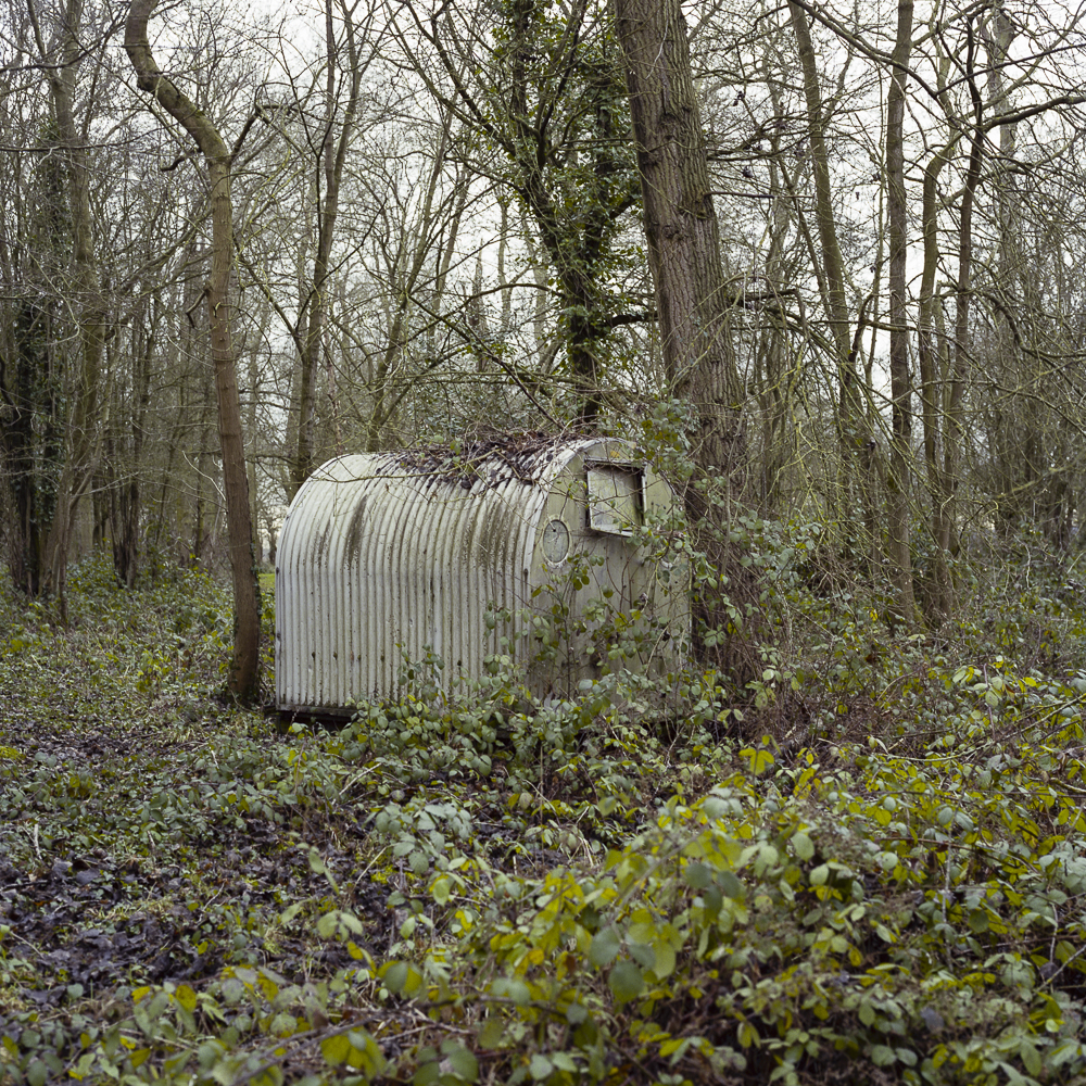 From the series Meridian
