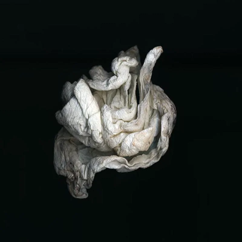 Tissue 1.jpg