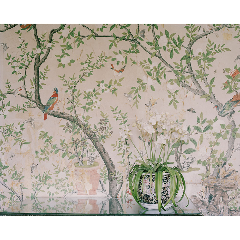 Untitled (Orchid) 2012 © Spencer Murphy