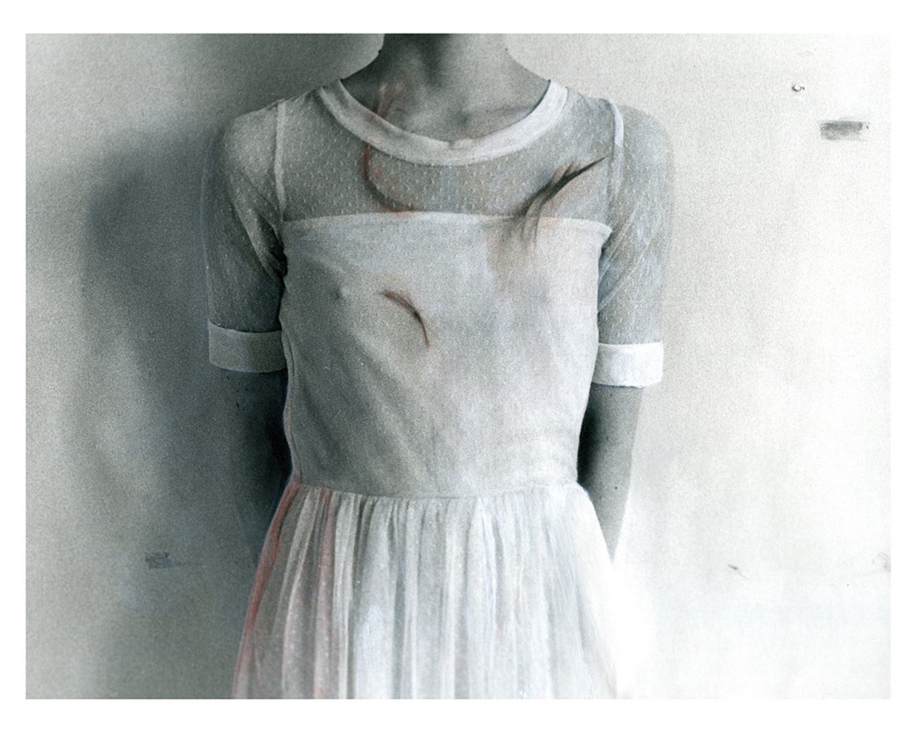 From the series Wallflower