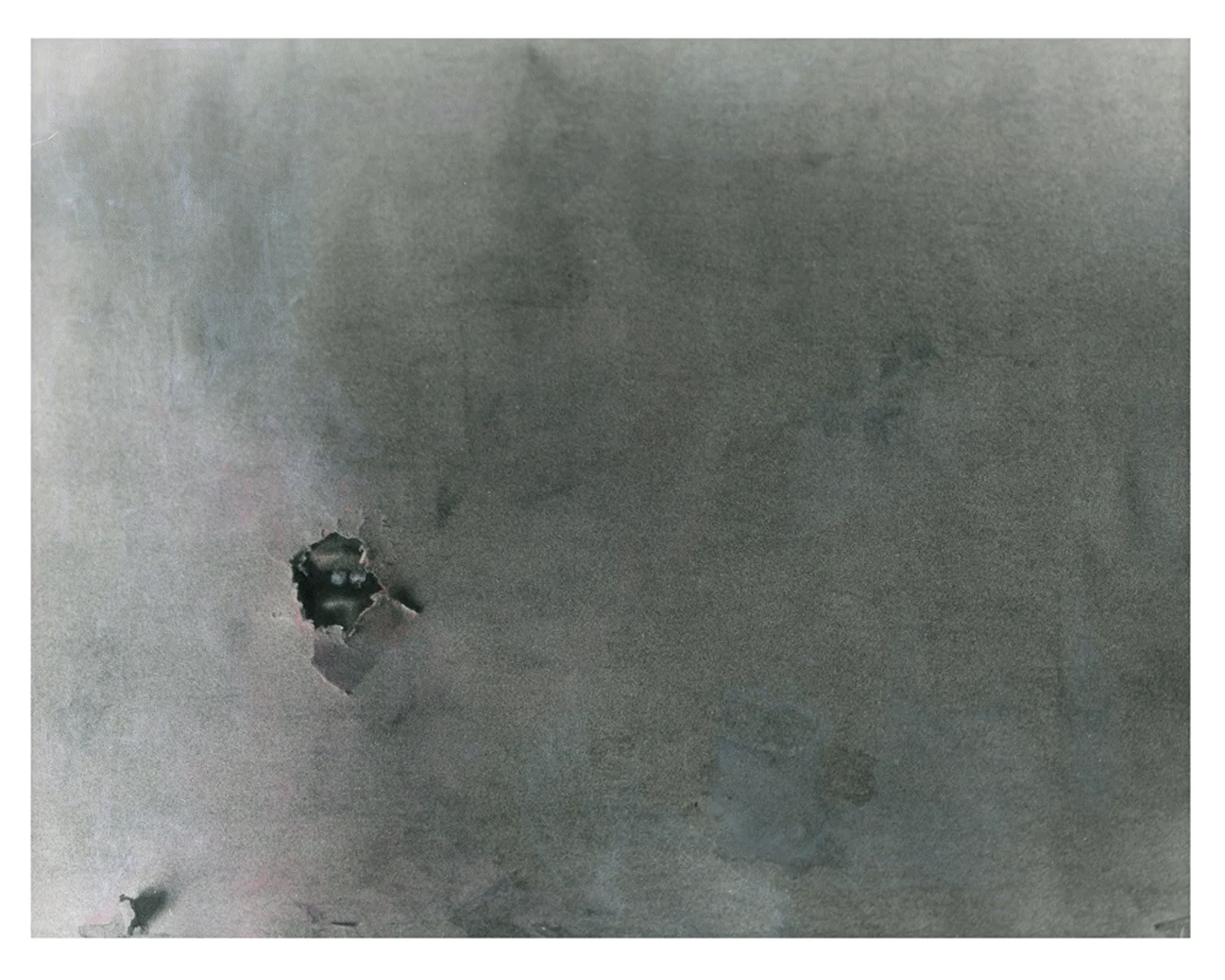 From the series Wallflower