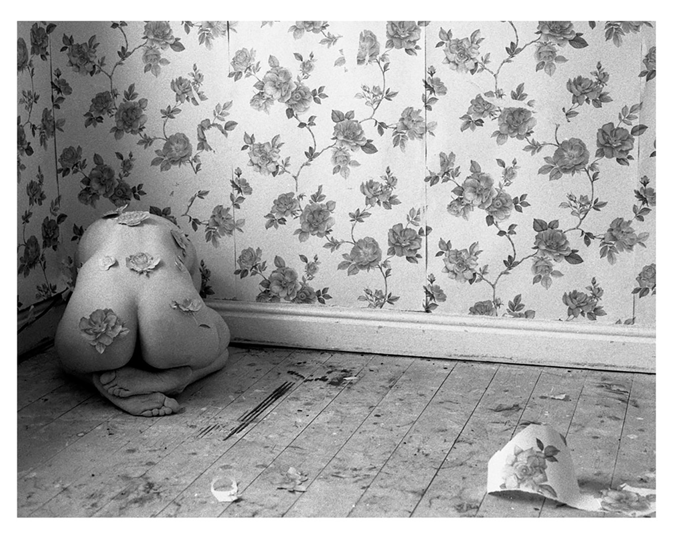 From the series Wallflower