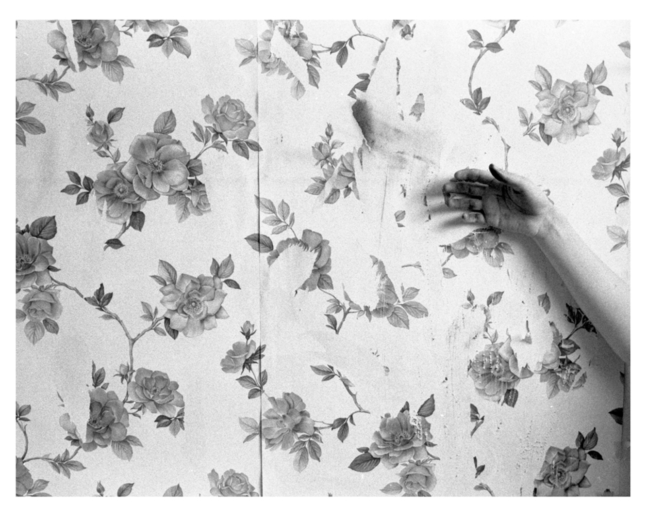 From the series Wallflower