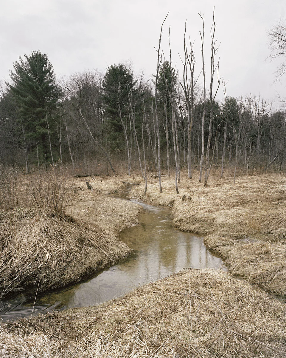 Images from the series Drake's Folly