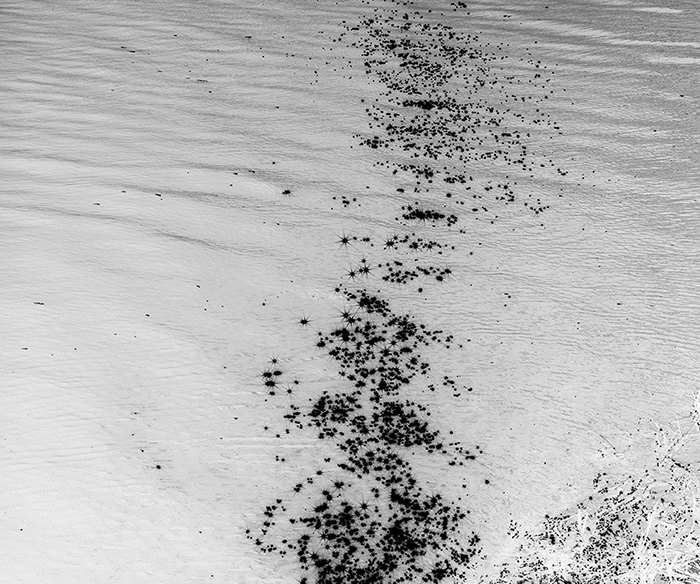From the series Another Place, and Here