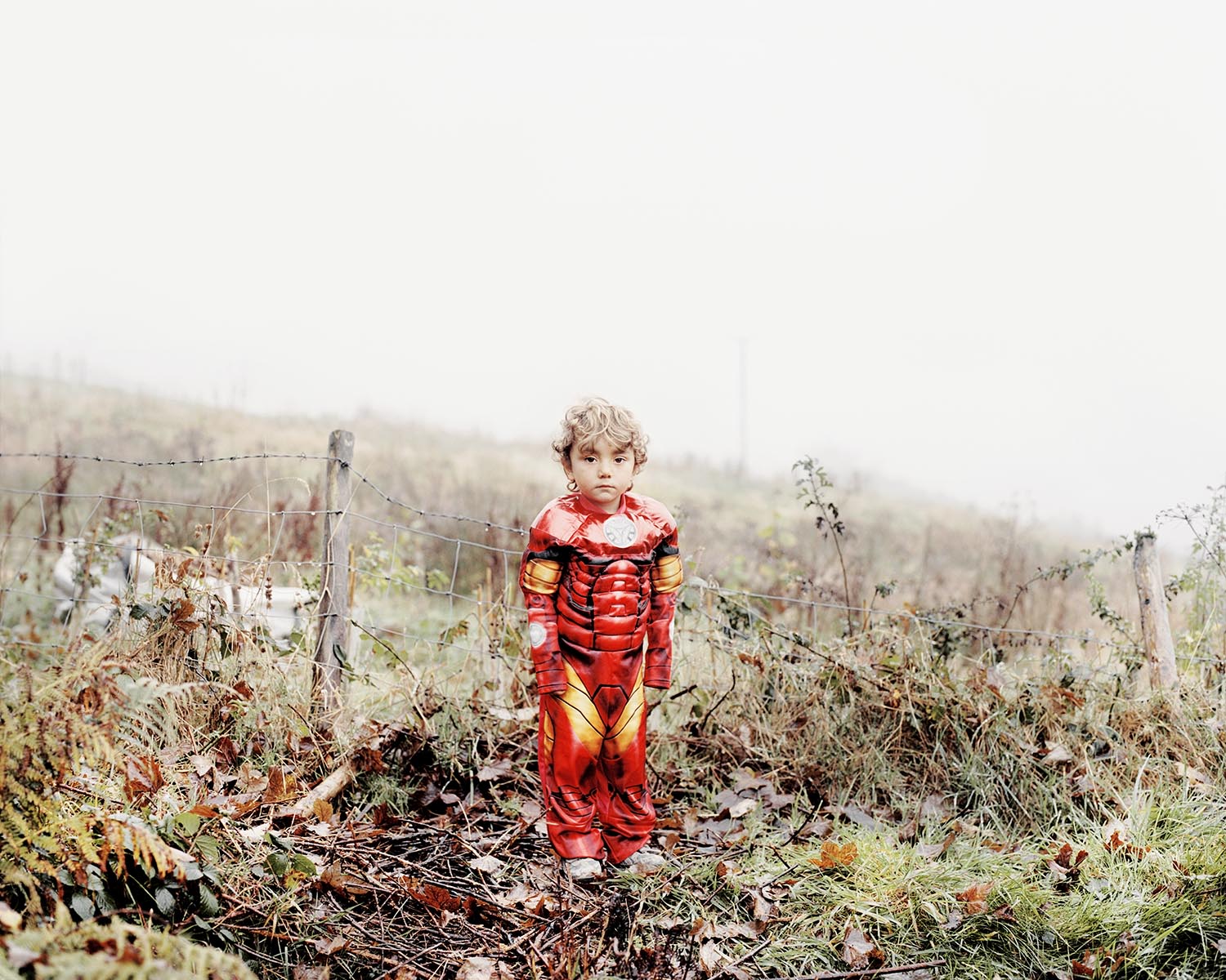 From the series Homeland