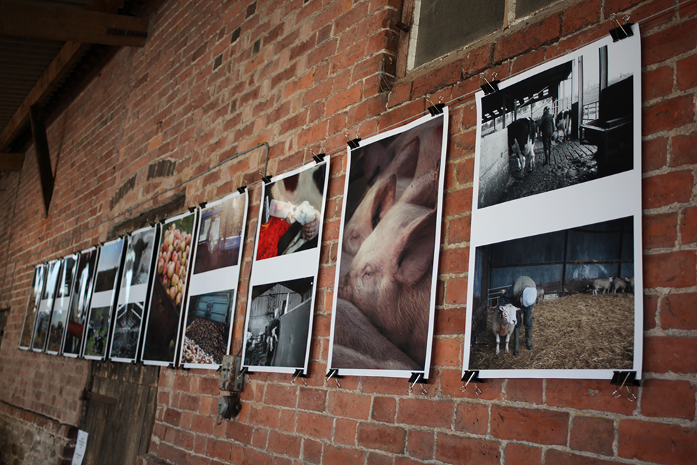 Photographic prints hung using wire and bulldog clips