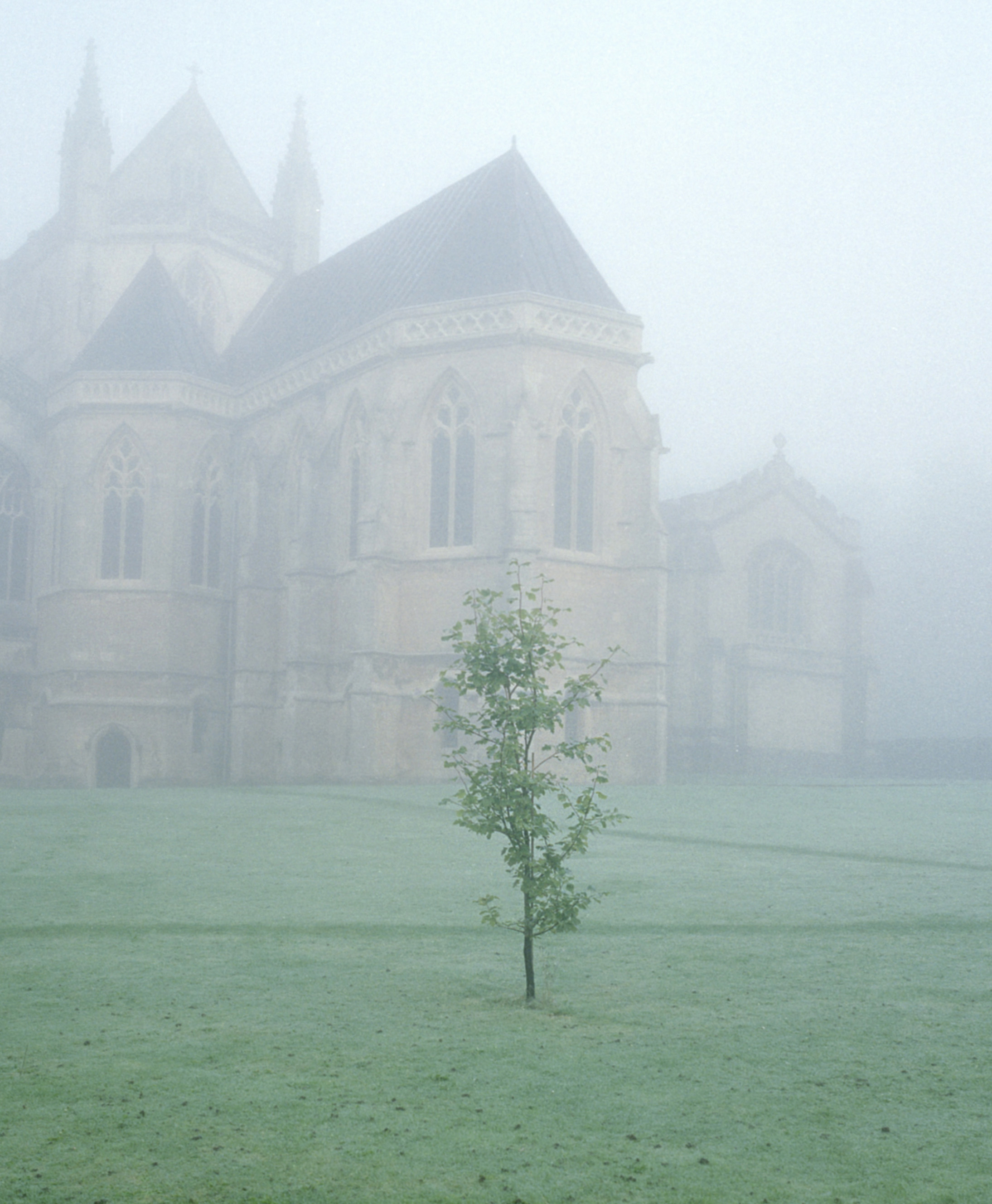 From the series Benedict’s House