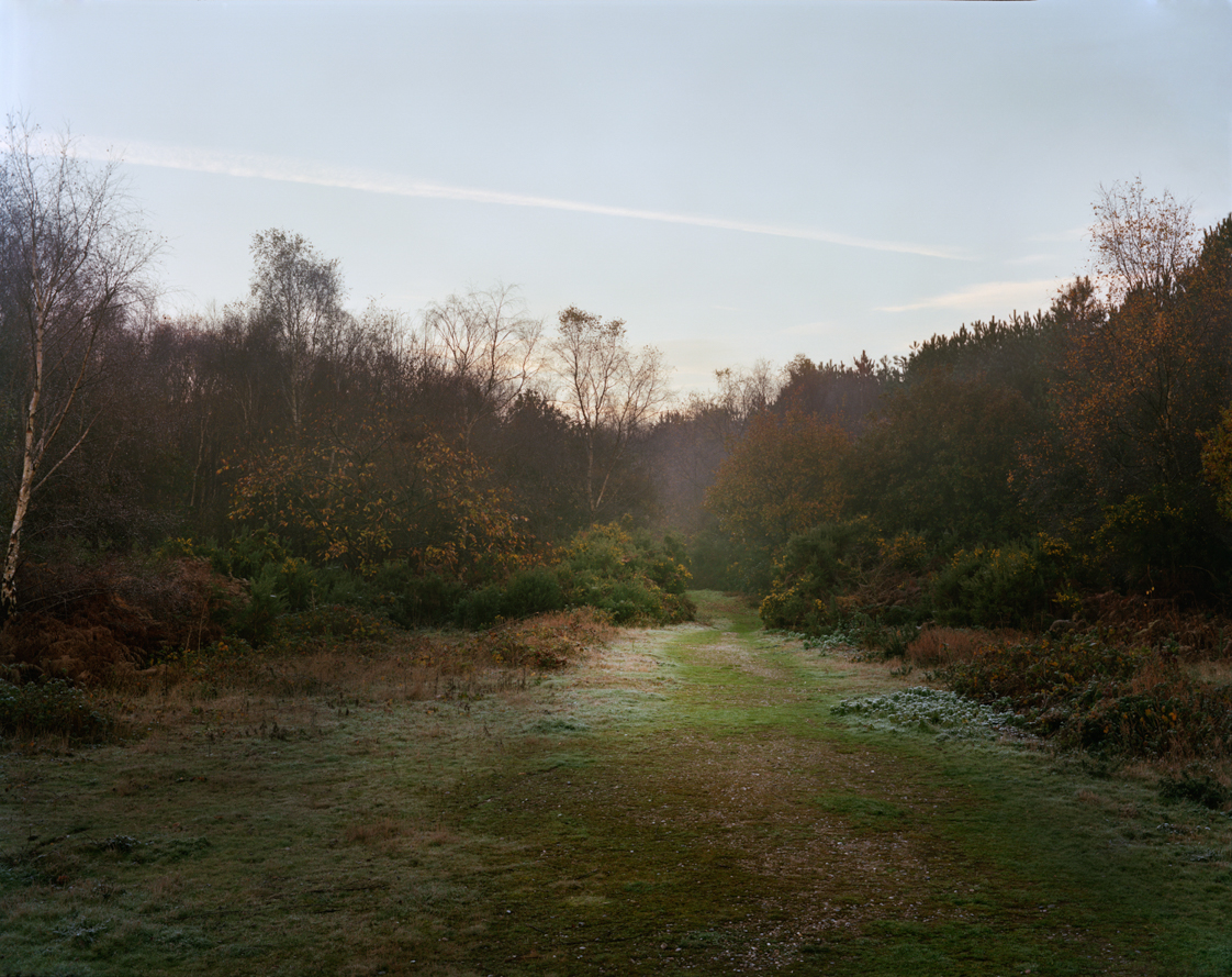 Images from the series Sandlings