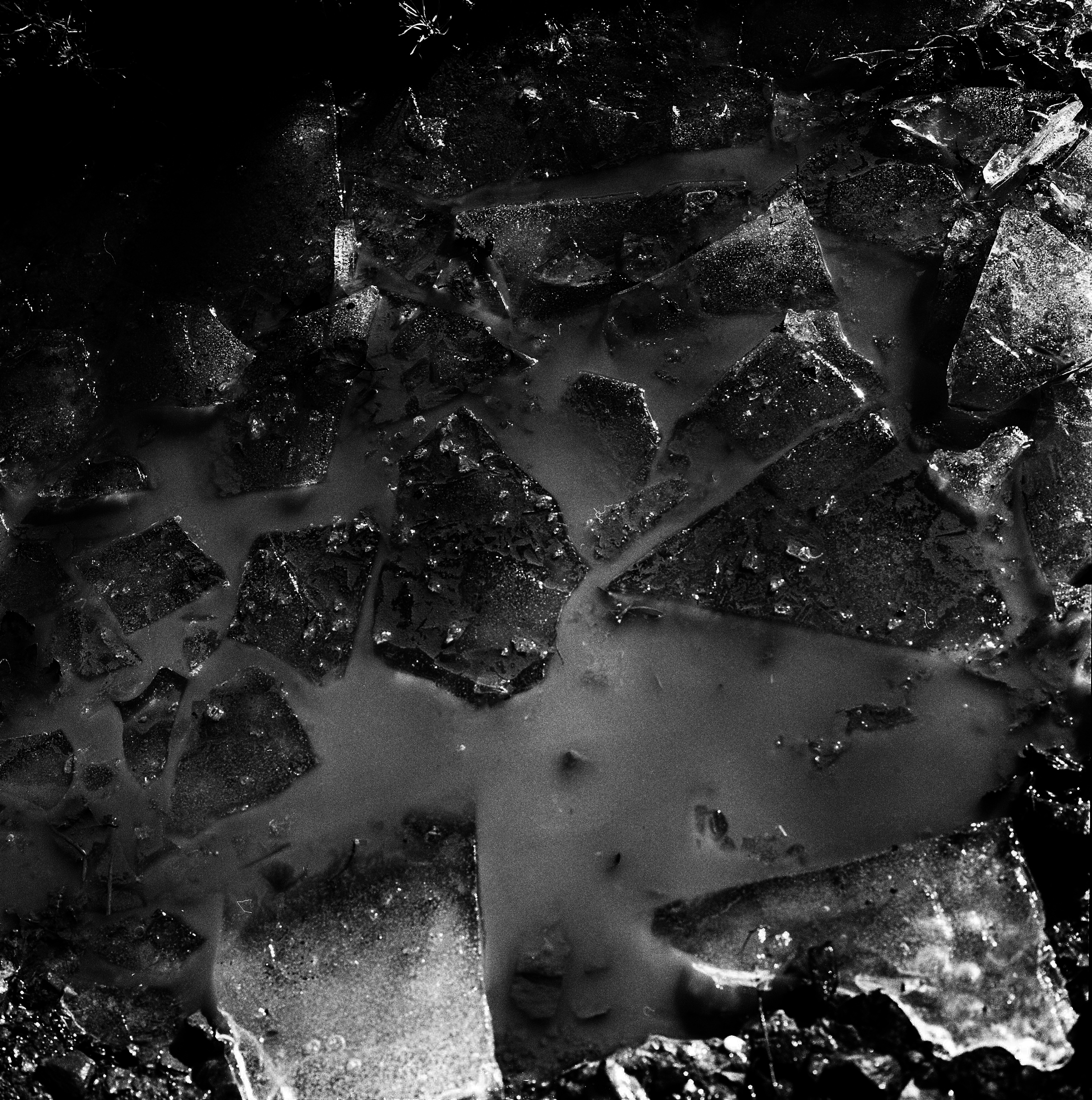 Images f rom the series They Were My Landscape