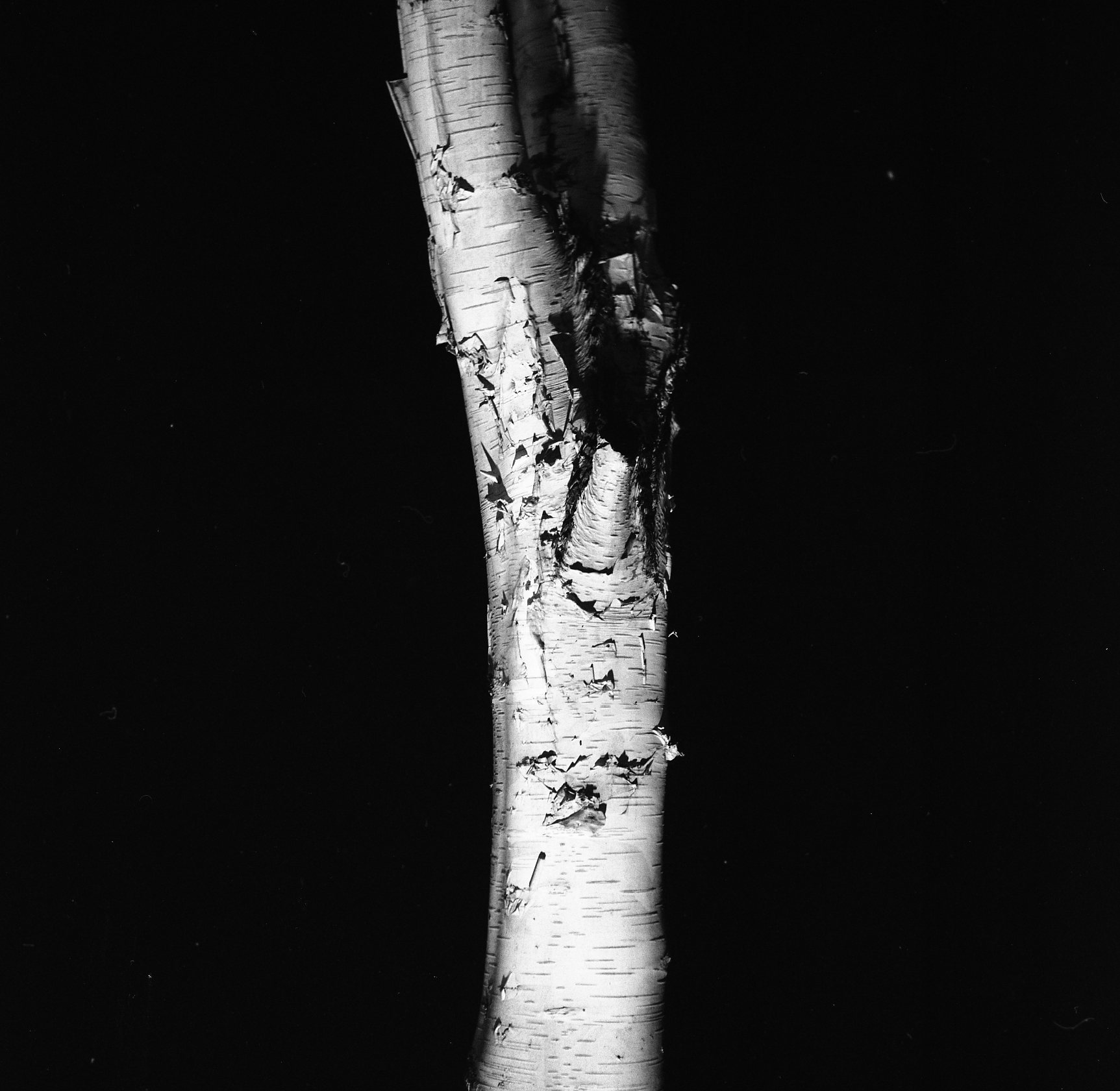 From the series They Were My Landscape