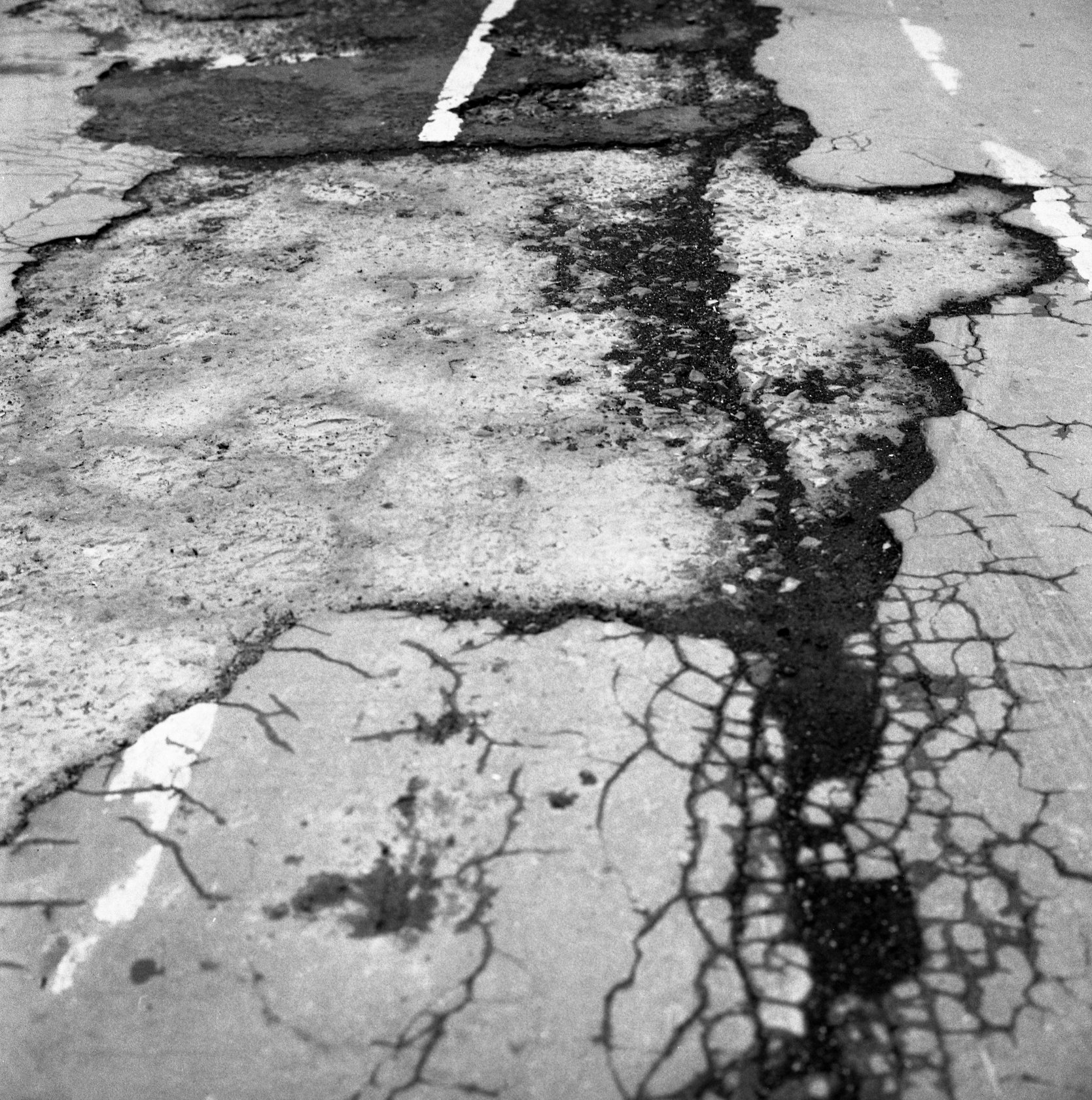 From the series They Were My Landscape