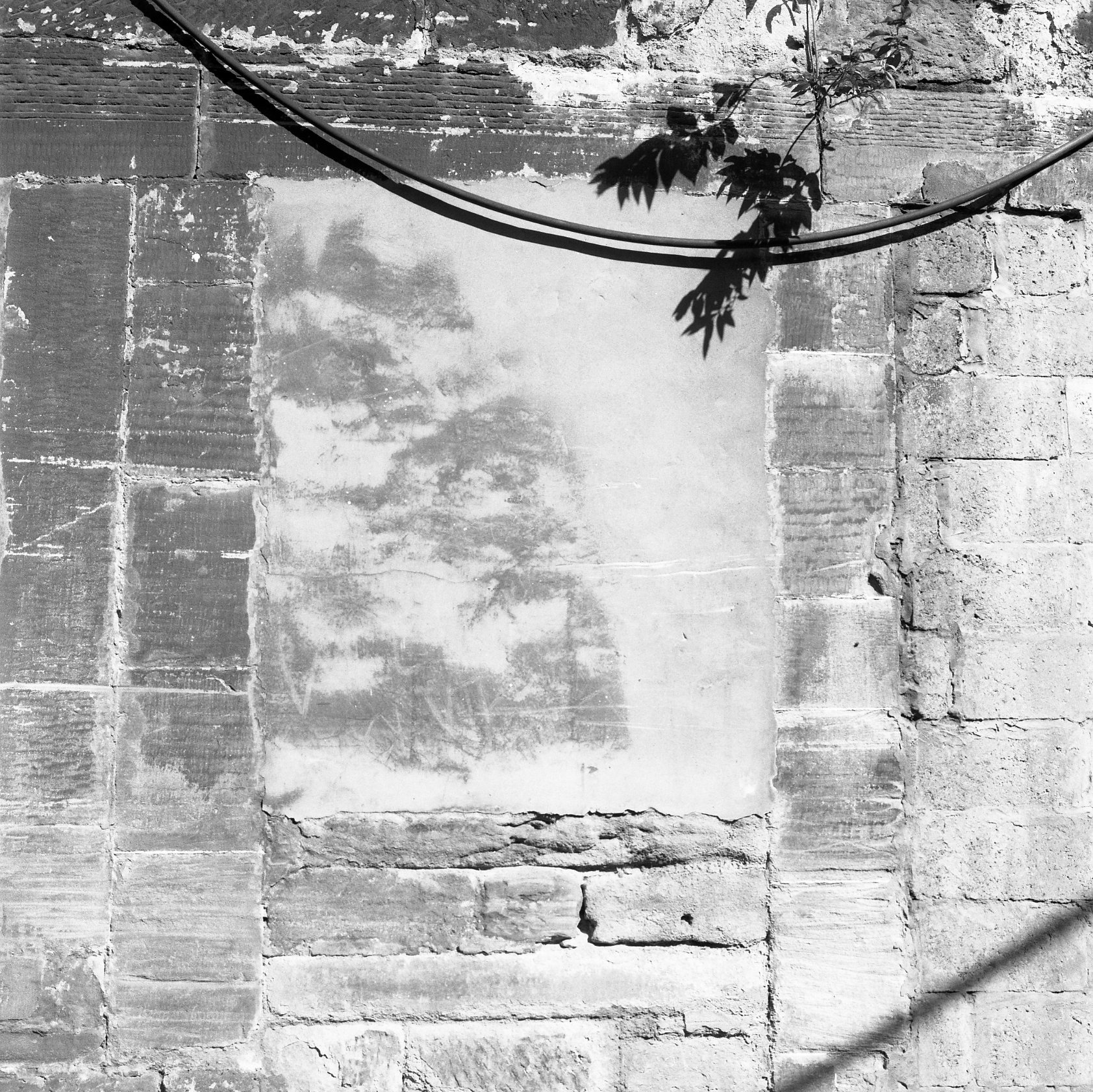 From the series They Were My Landscape