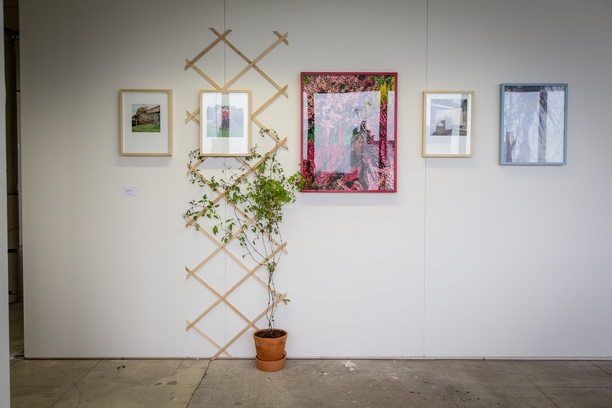 Familiar Gardens at Free Range 2016