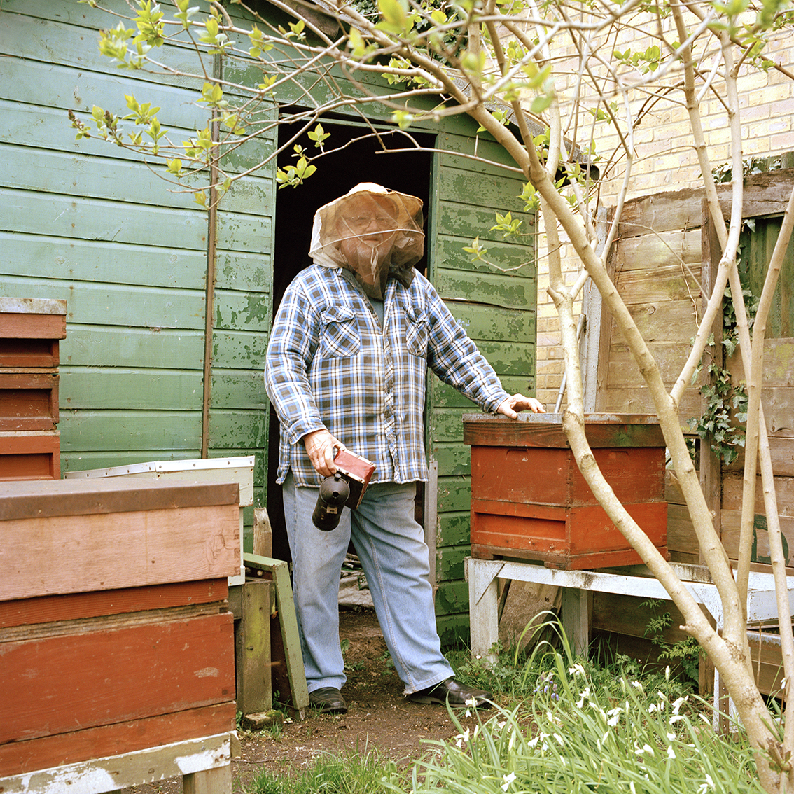 Images from the series Familiar Gardens