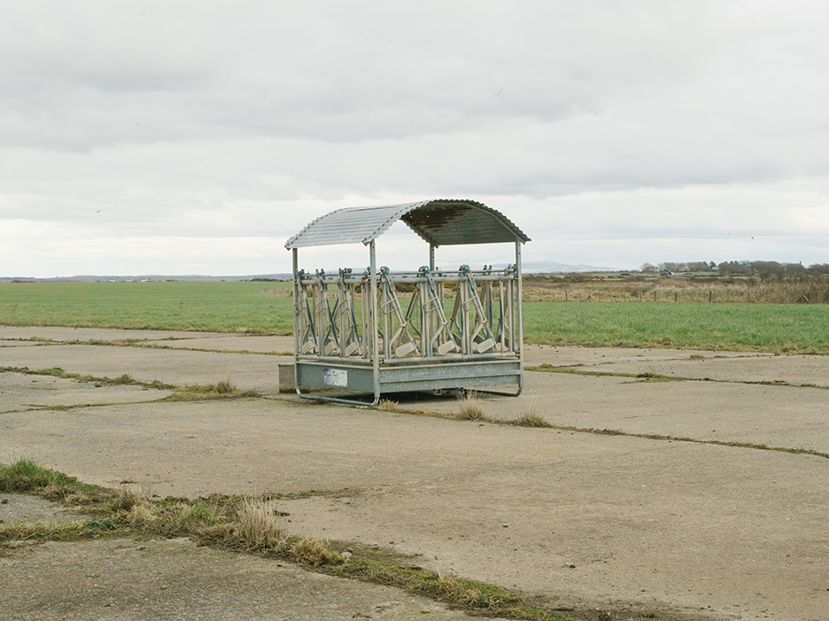From the series David's House