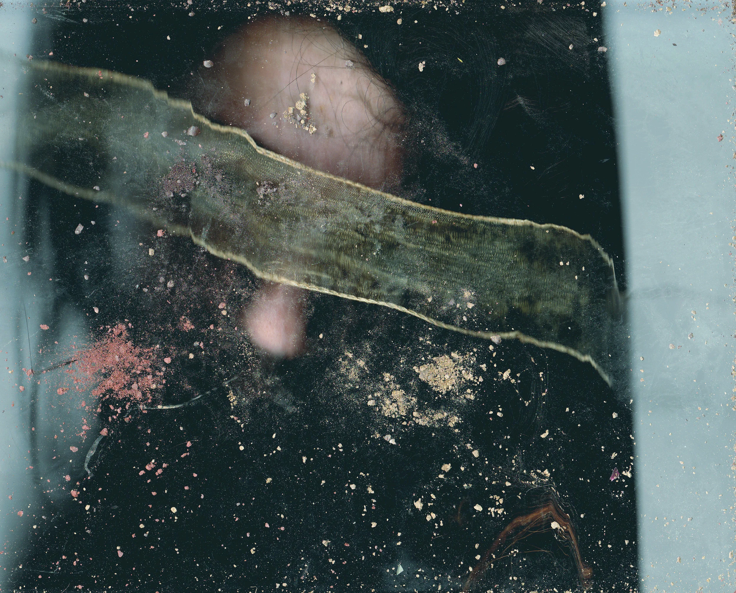 From the series PLATEN